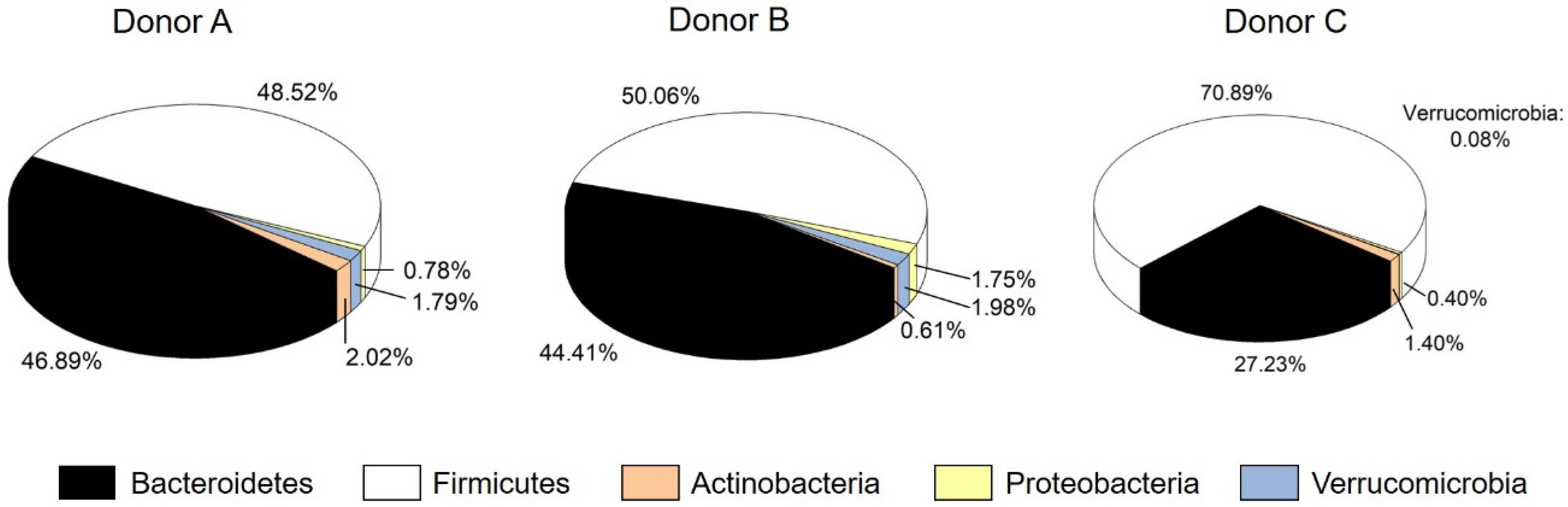 Microorganisms 09 01049 g001