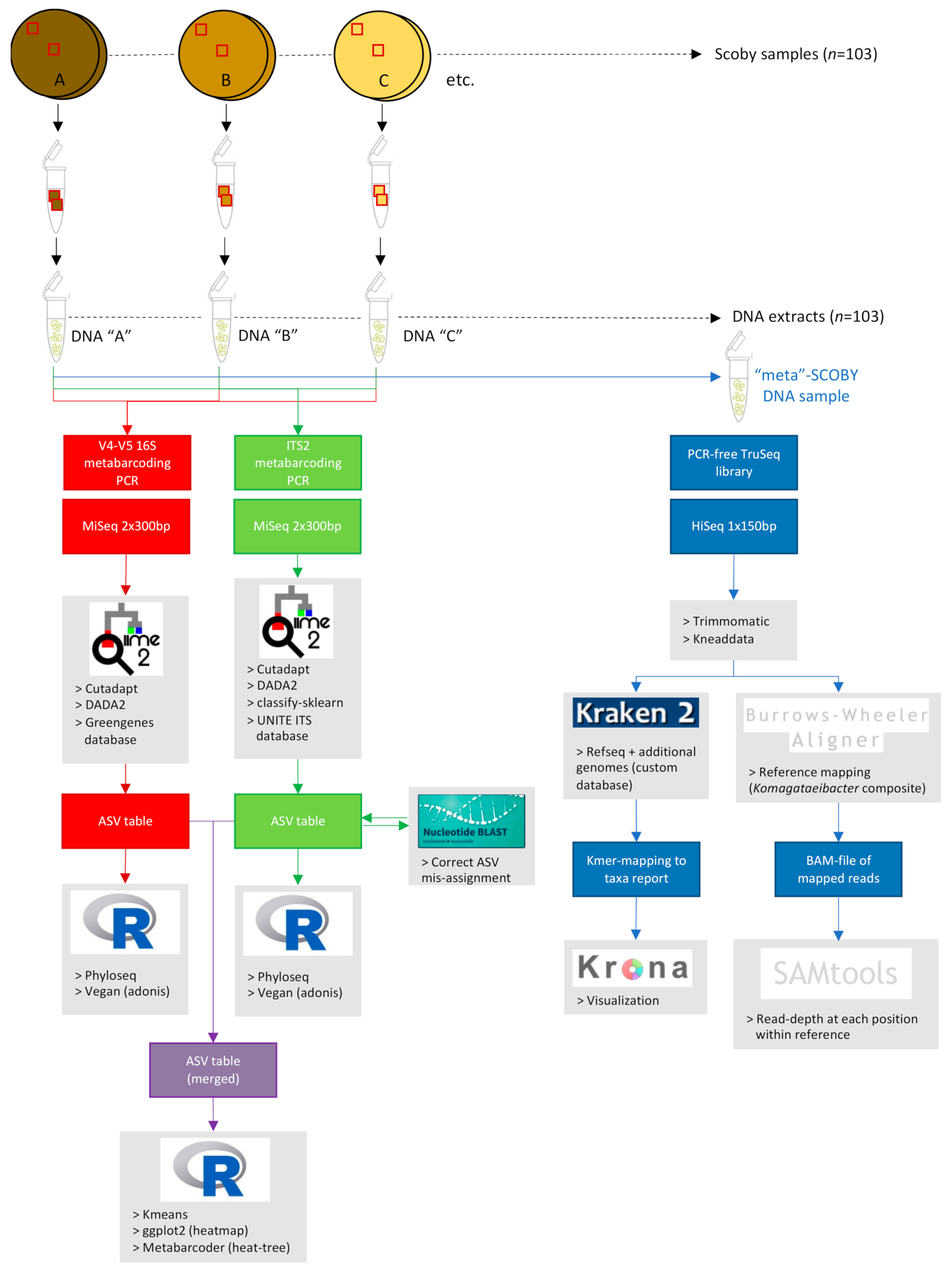 Microorganisms 09 01060 g001
