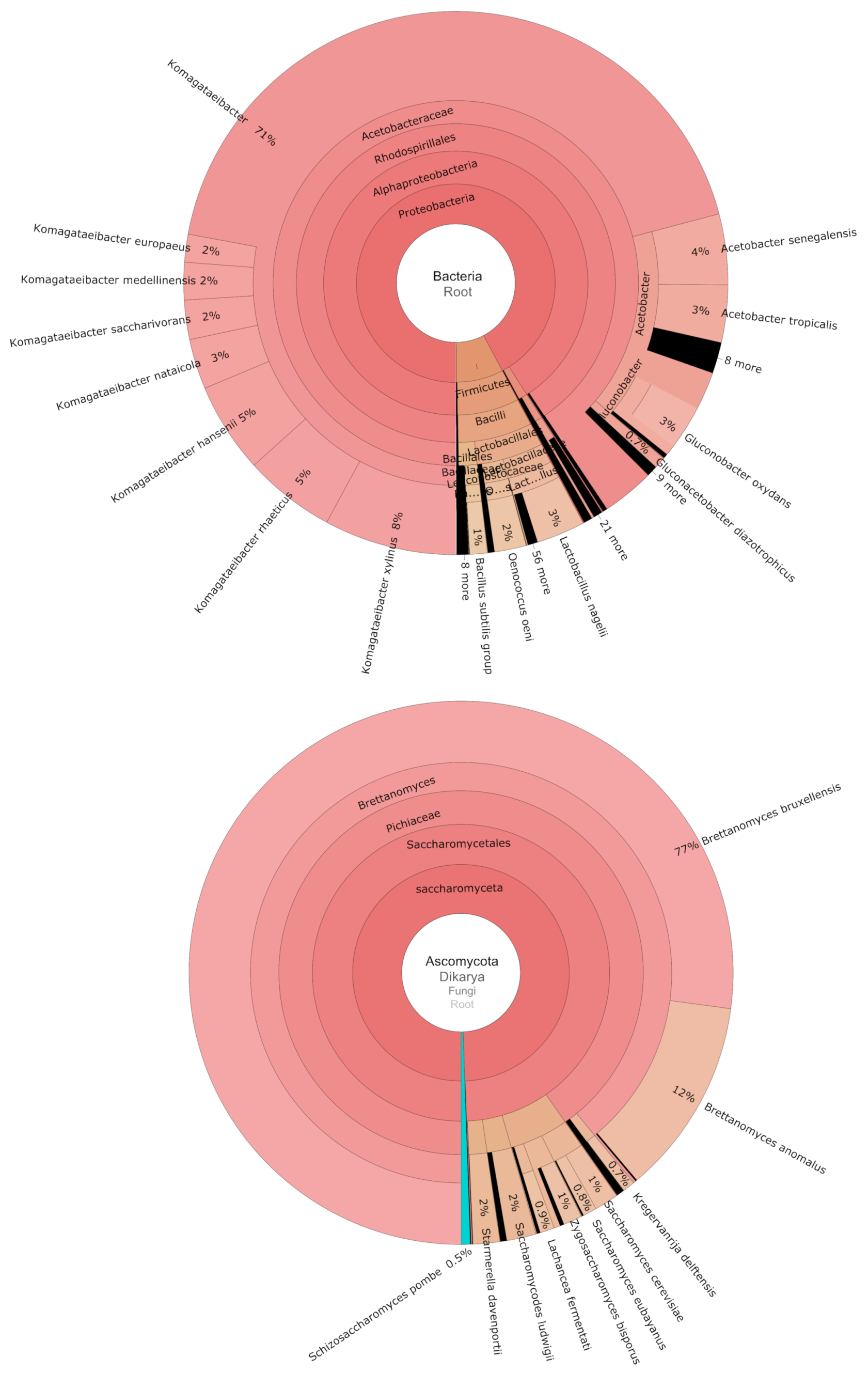 Microorganisms 09 01060 g004
