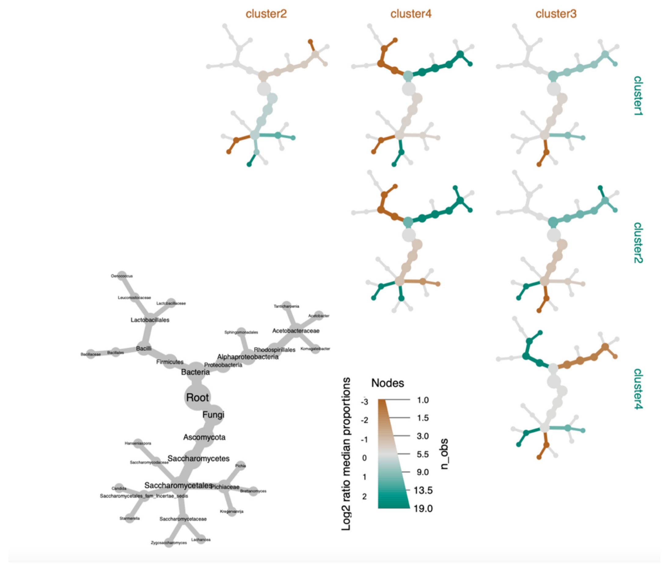 Microorganisms 09 01060 g006