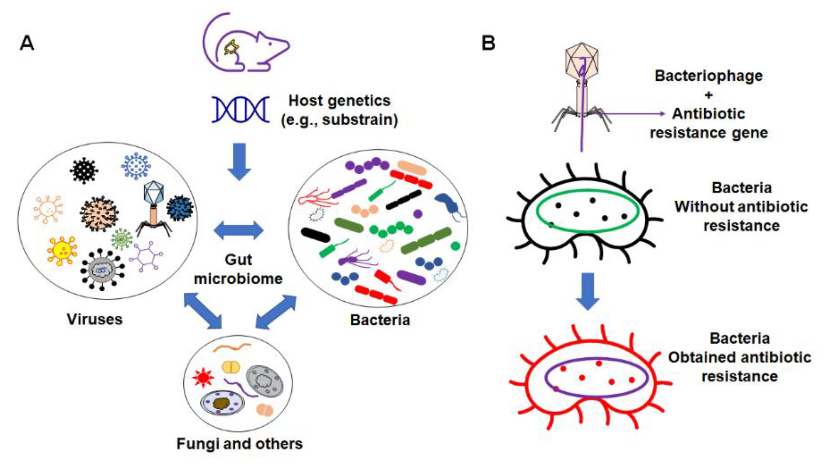 Microorganisms 09 01062 g002