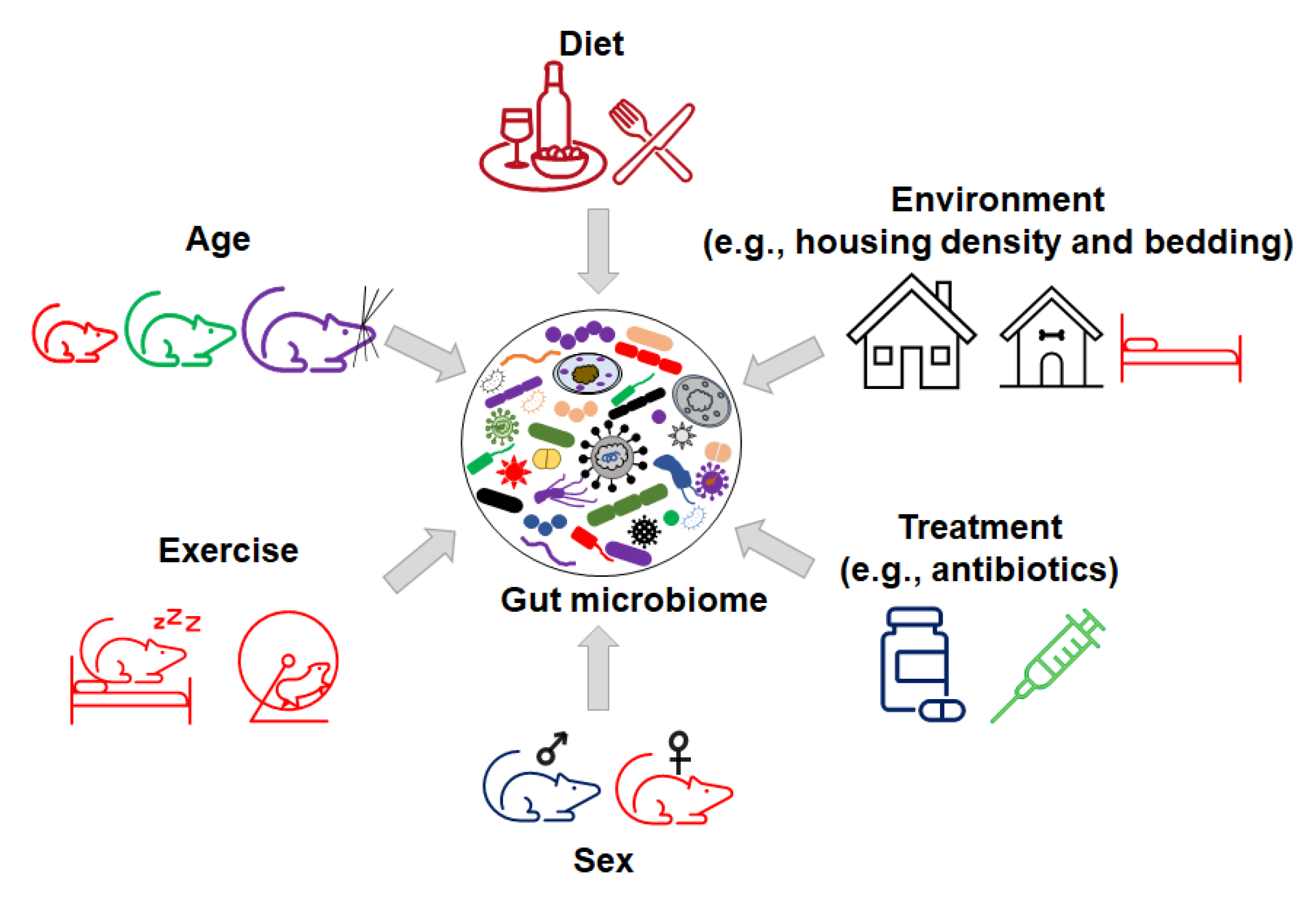Microorganisms 09 01062 g003