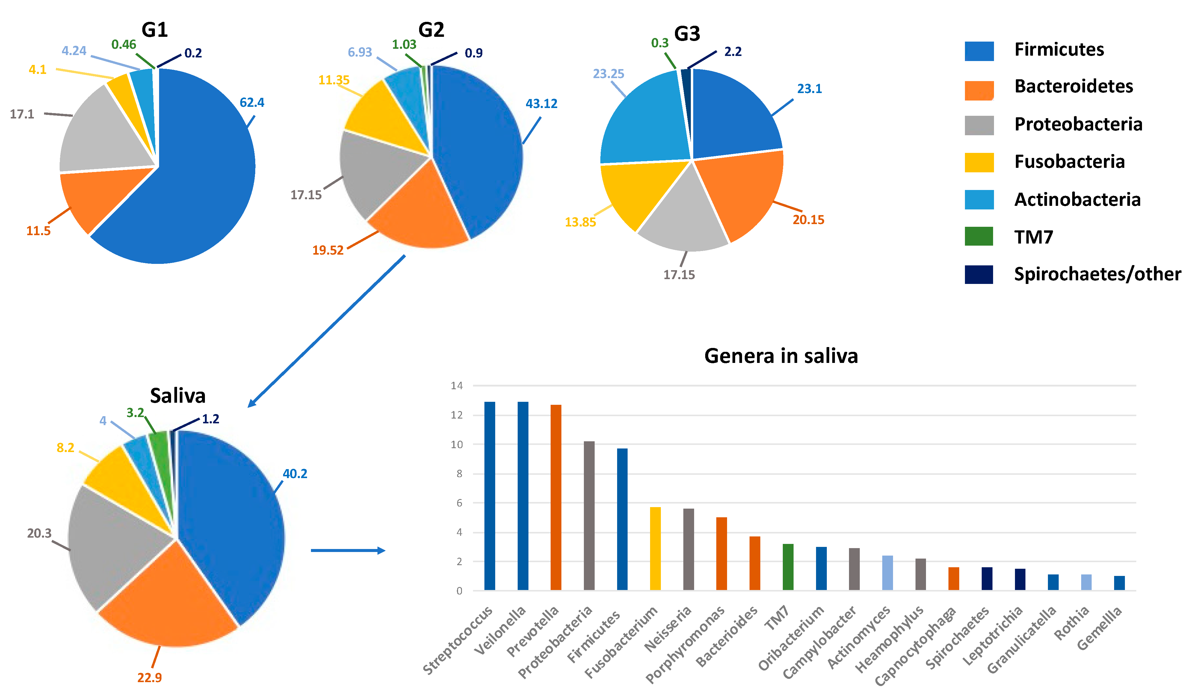 Microorganisms 09 01064 g001 Microorganisms 09 01064 g001
