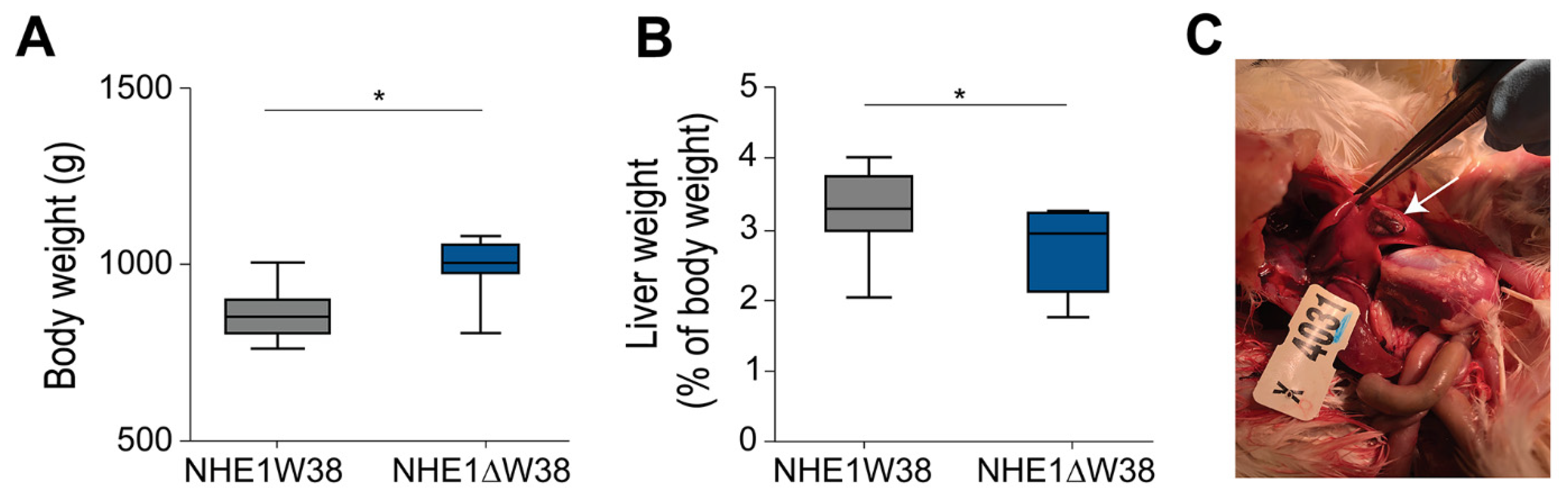 Microorganisms 09 01066 g002 Microorganisms 09 01066 g002