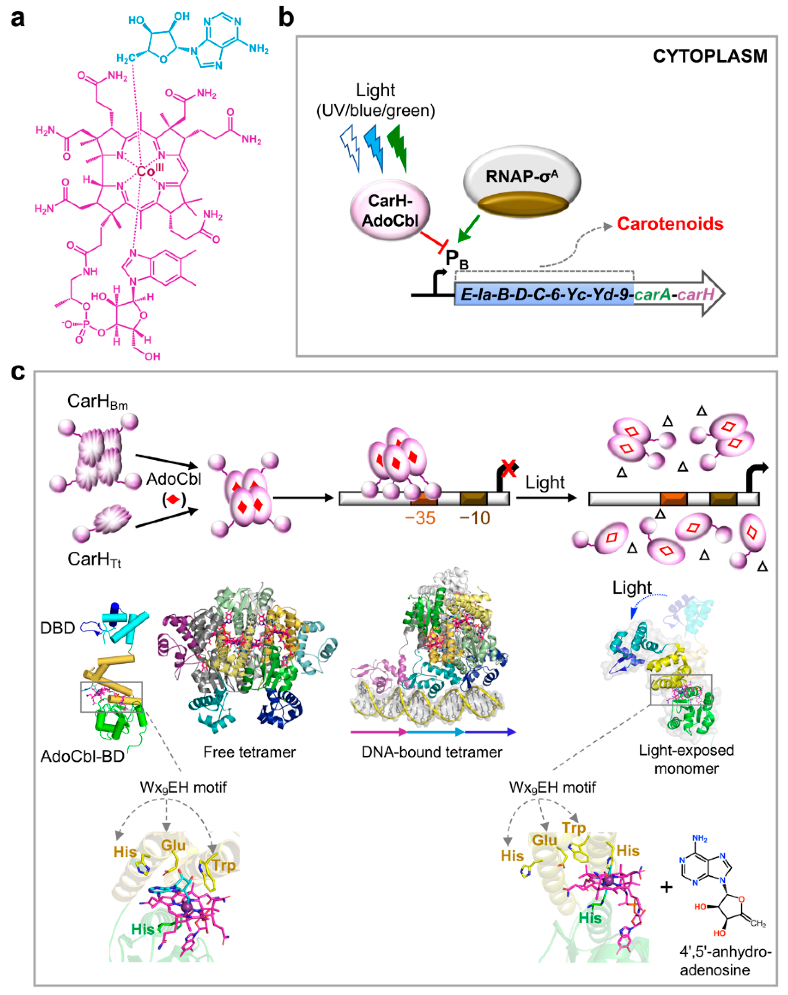 Microorganisms 09 01067 g002