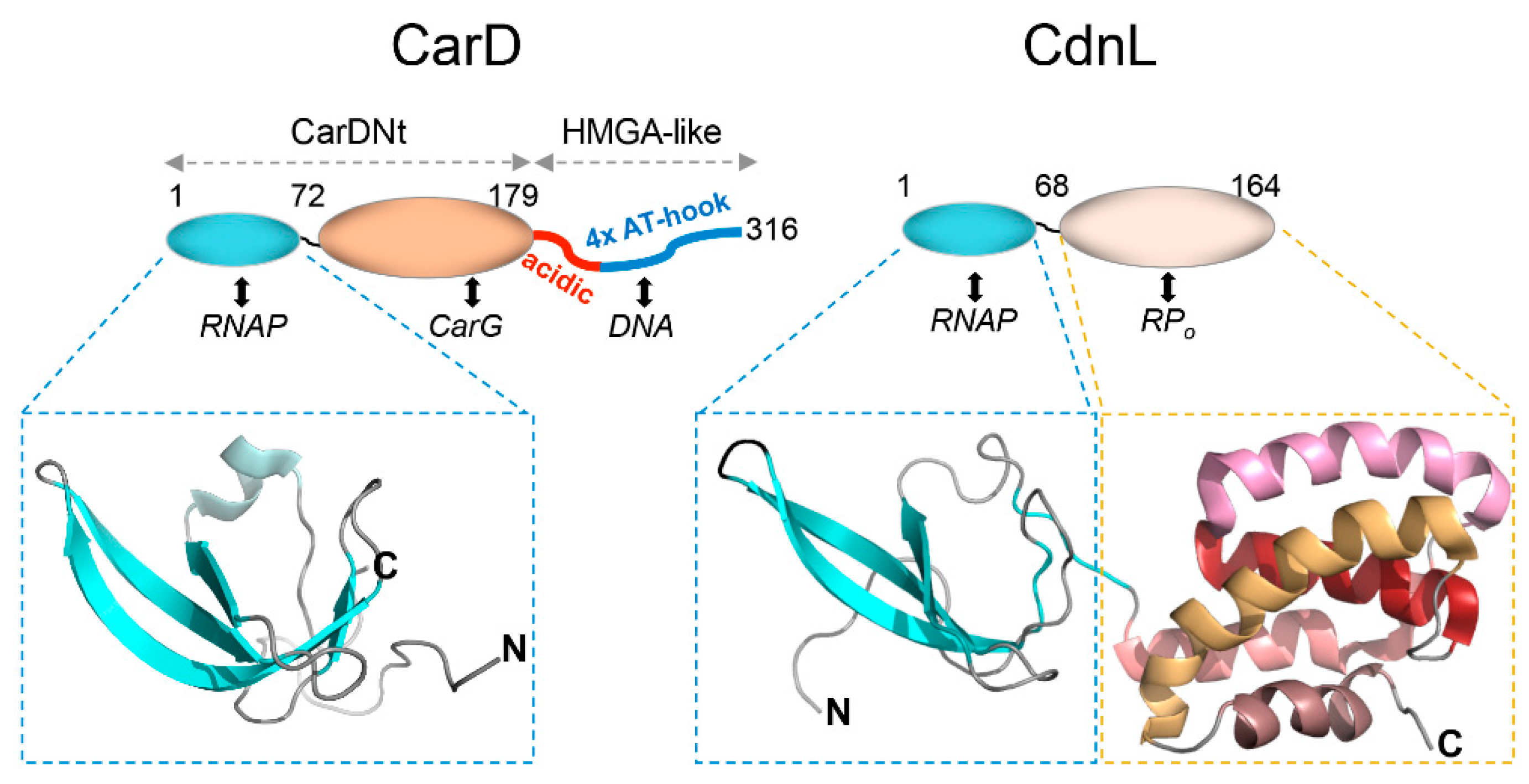 Microorganisms 09 01067 g005
