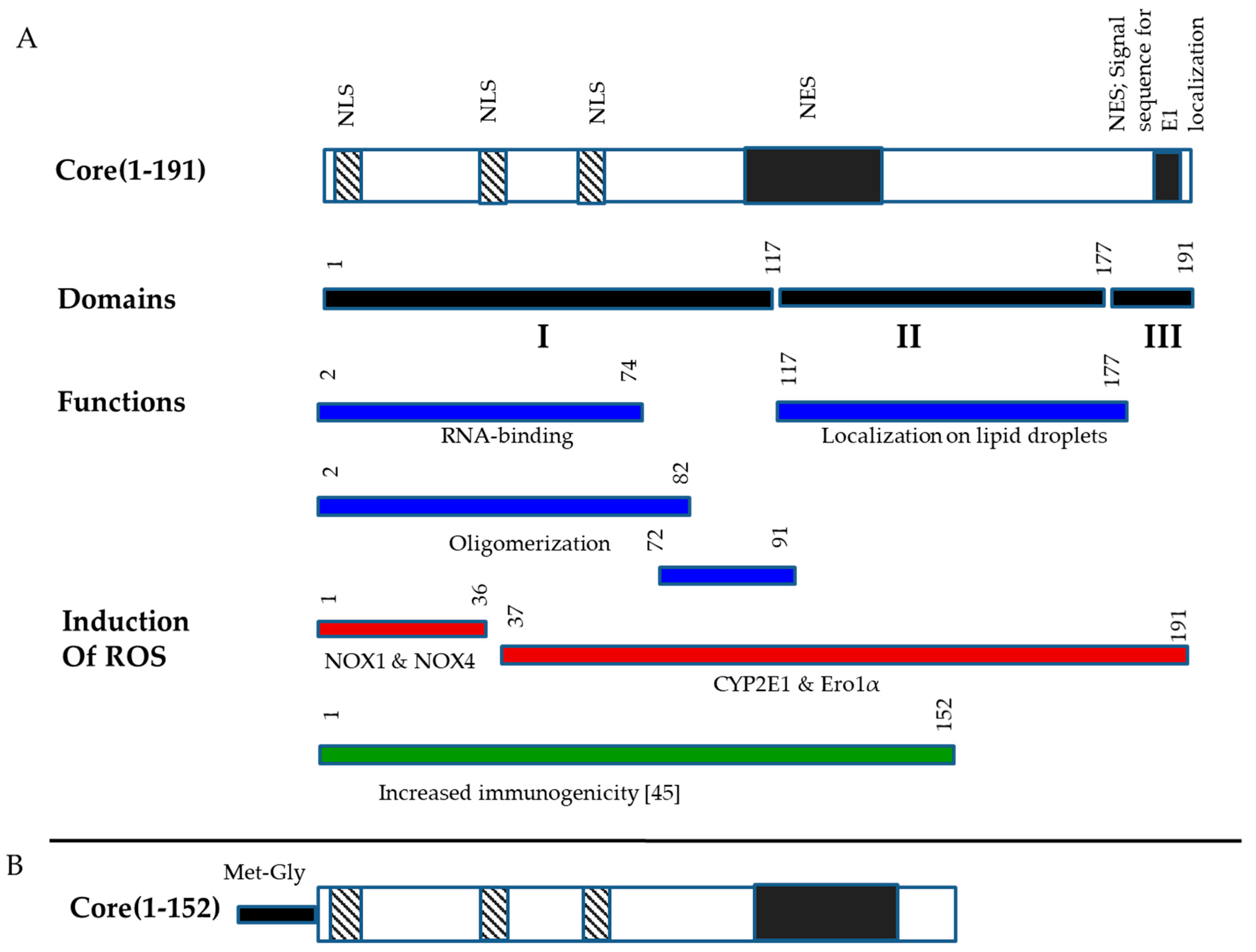 Microorganisms 09 01073 g001