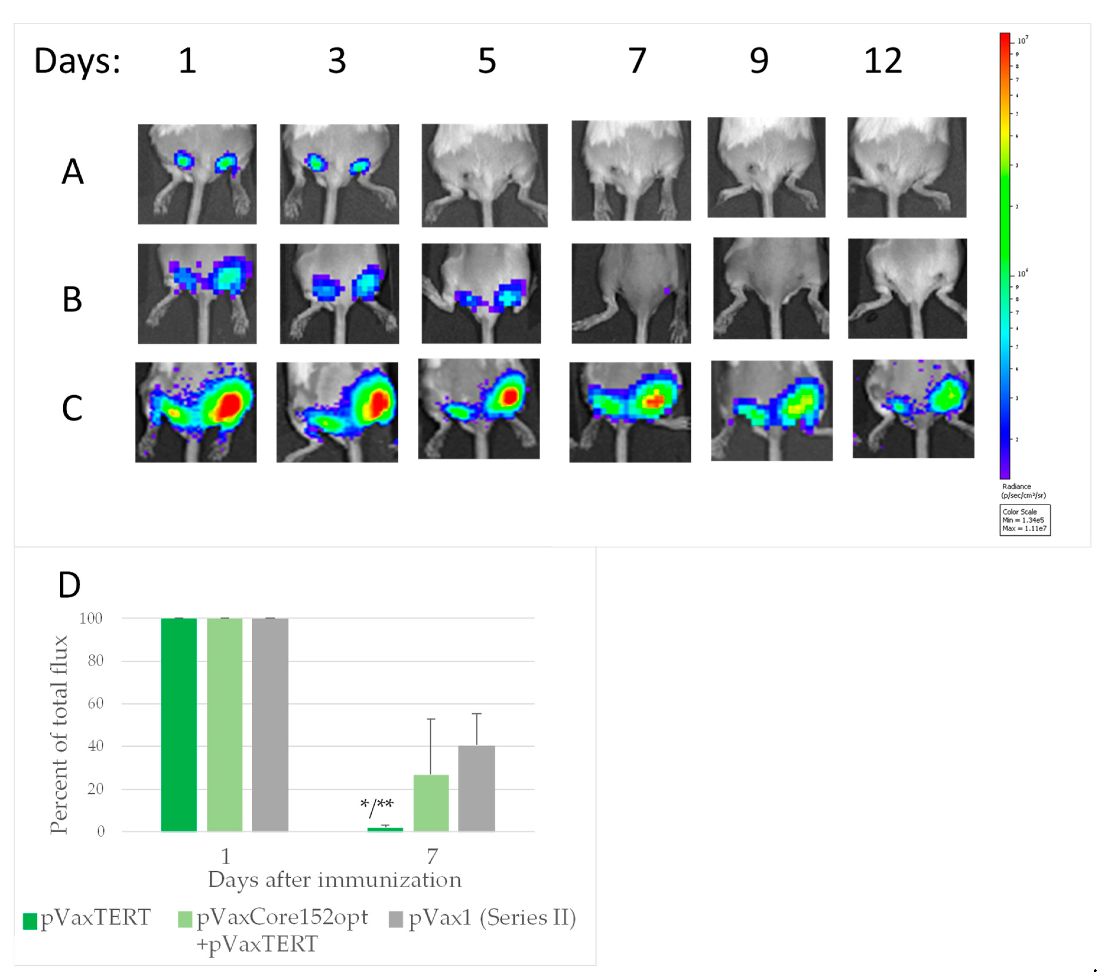 Microorganisms 09 01073 g008
