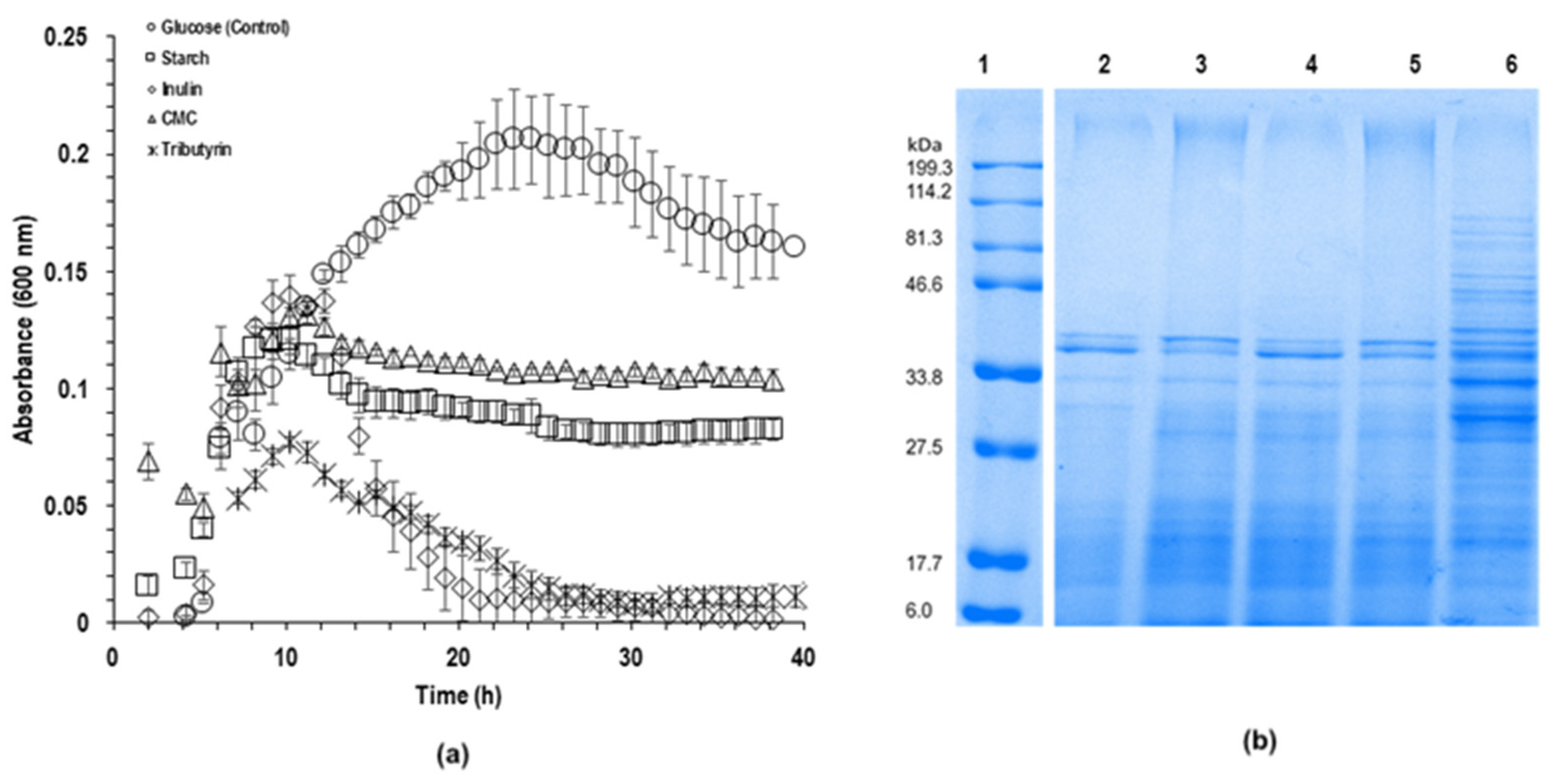 Microorganisms 09 01076 g002 Microorganisms 09 01076 g002