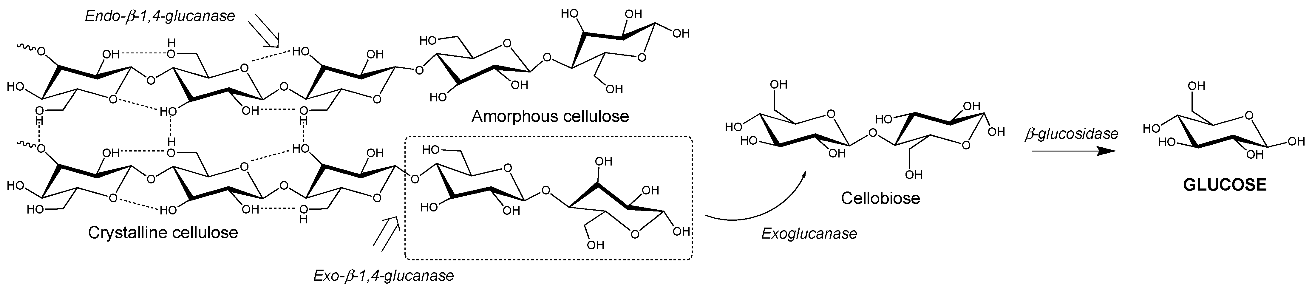 Microorganisms 09 01079 g001