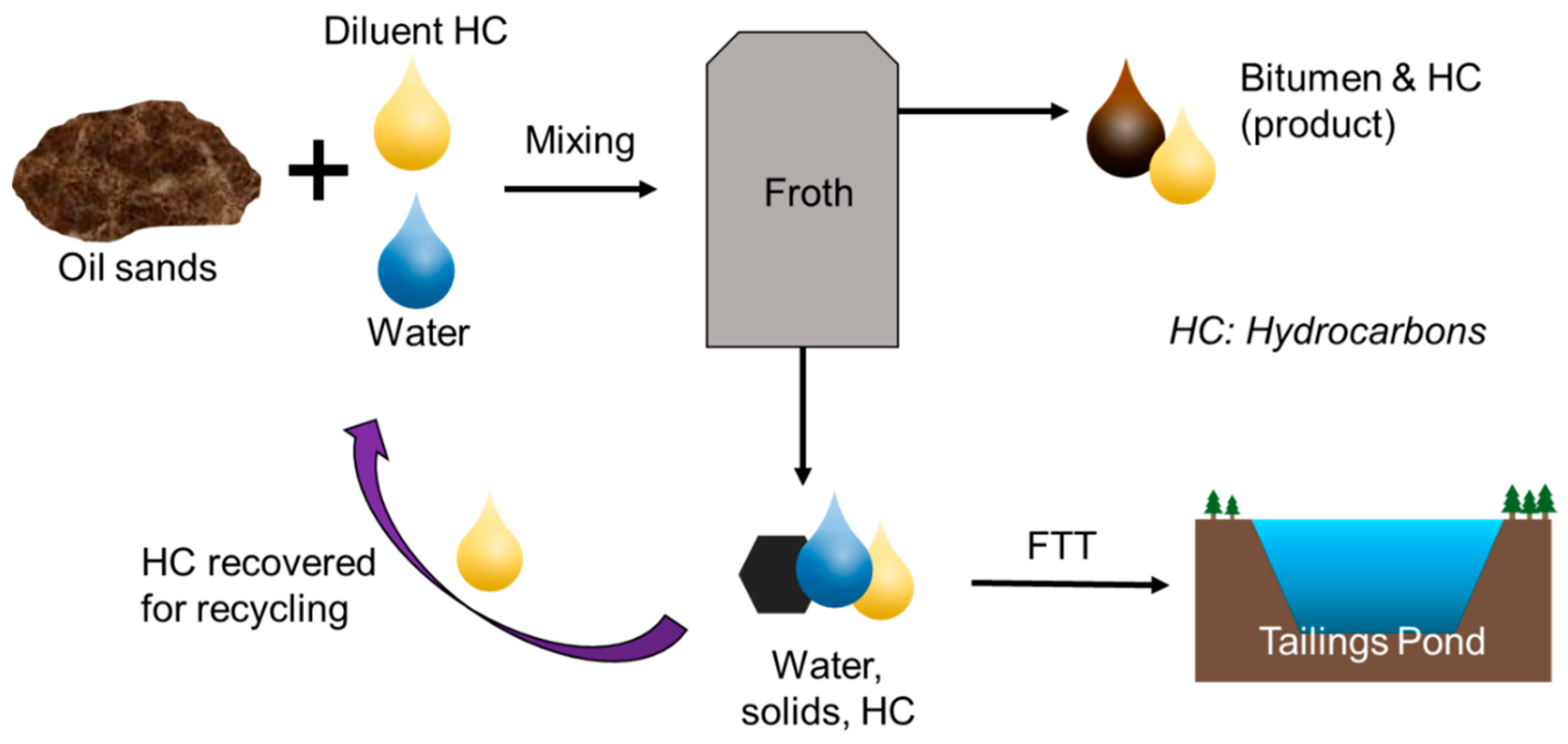 Microorganisms 09 01091 g001