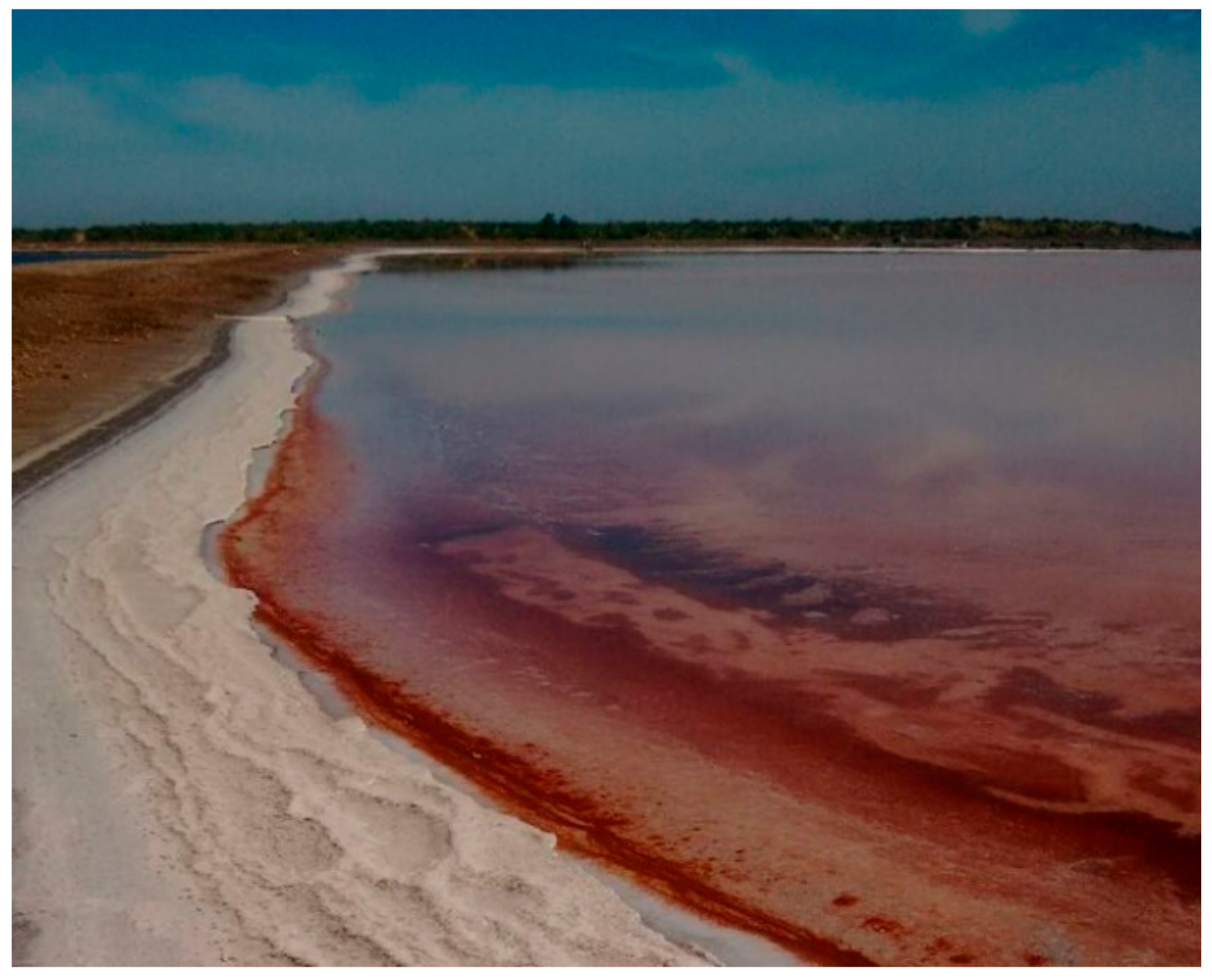 Microorganisms 09 01096 g002