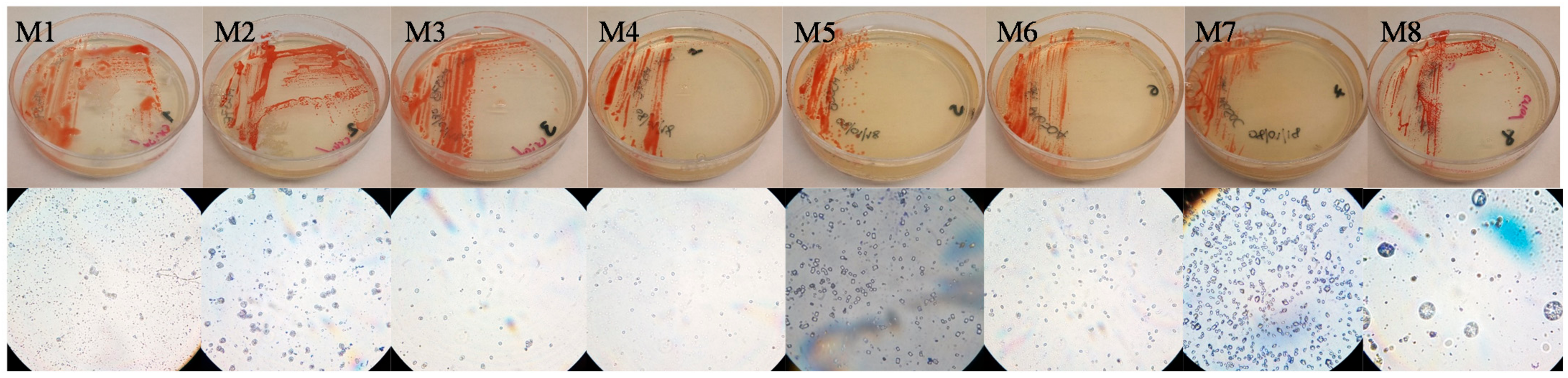 Microorganisms 09 01096 g003