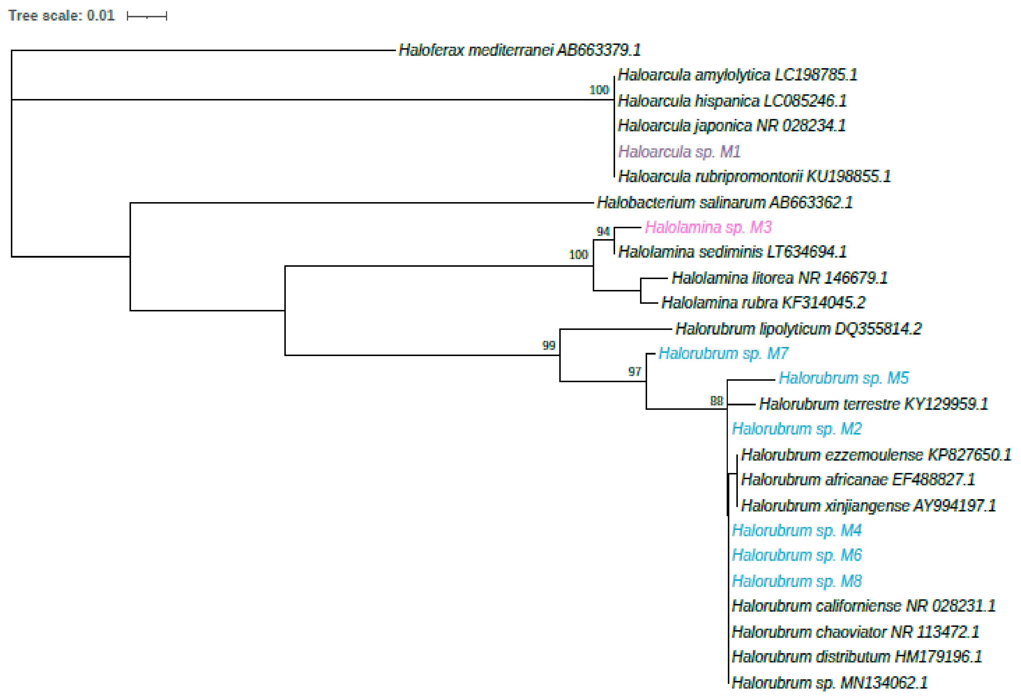 Microorganisms 09 01096 g004