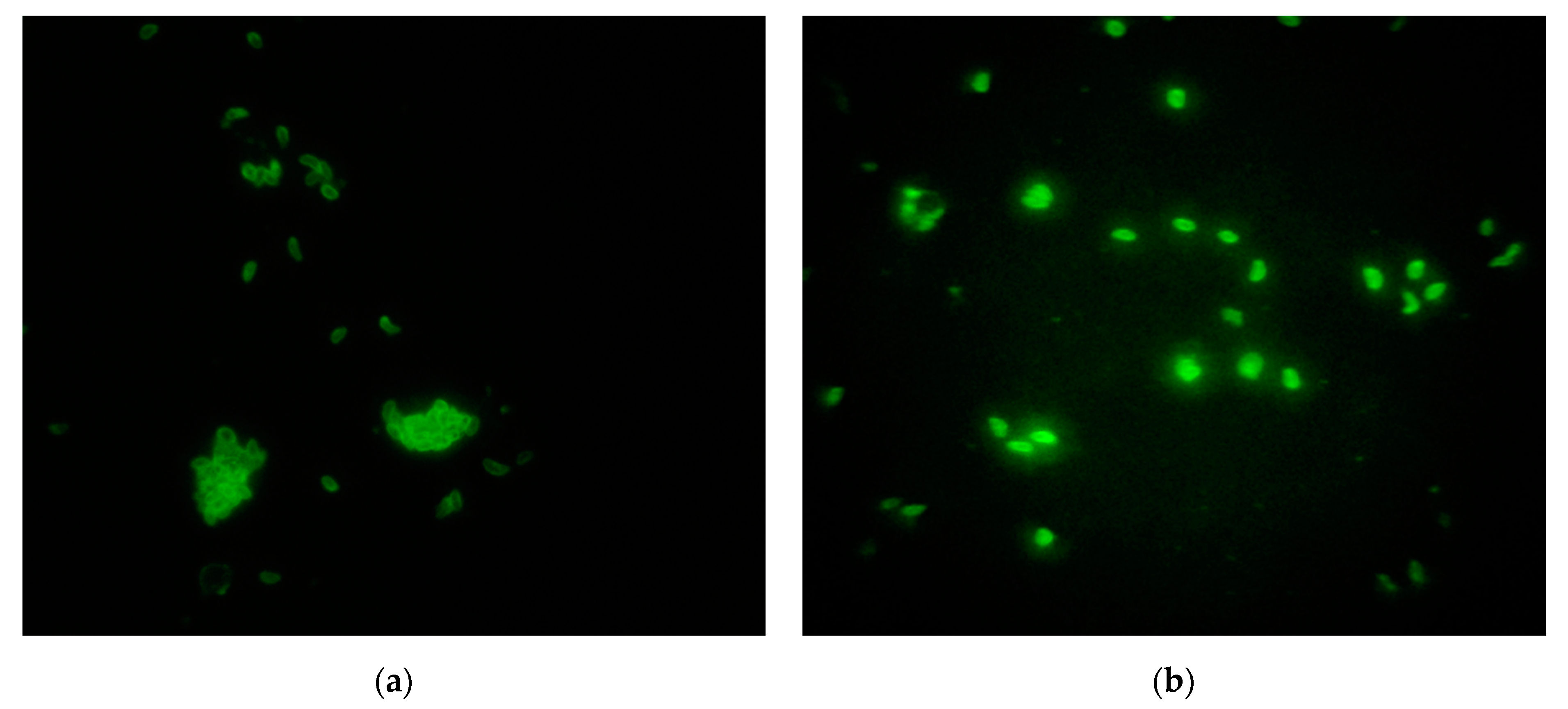 Microorganisms 09 01097 g001 Microorganisms 09 01097 g001