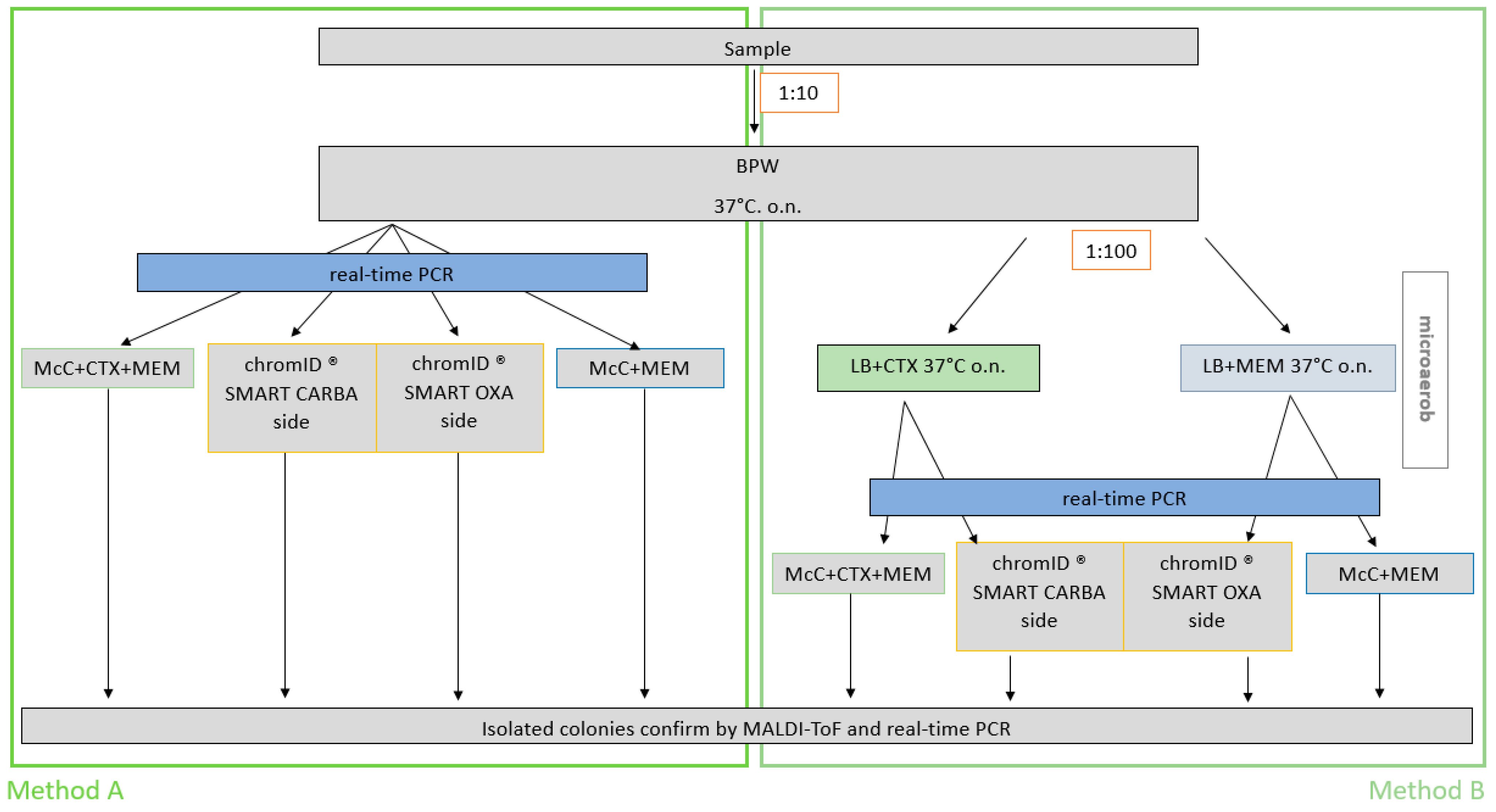 Microorganisms 09 01105 g001