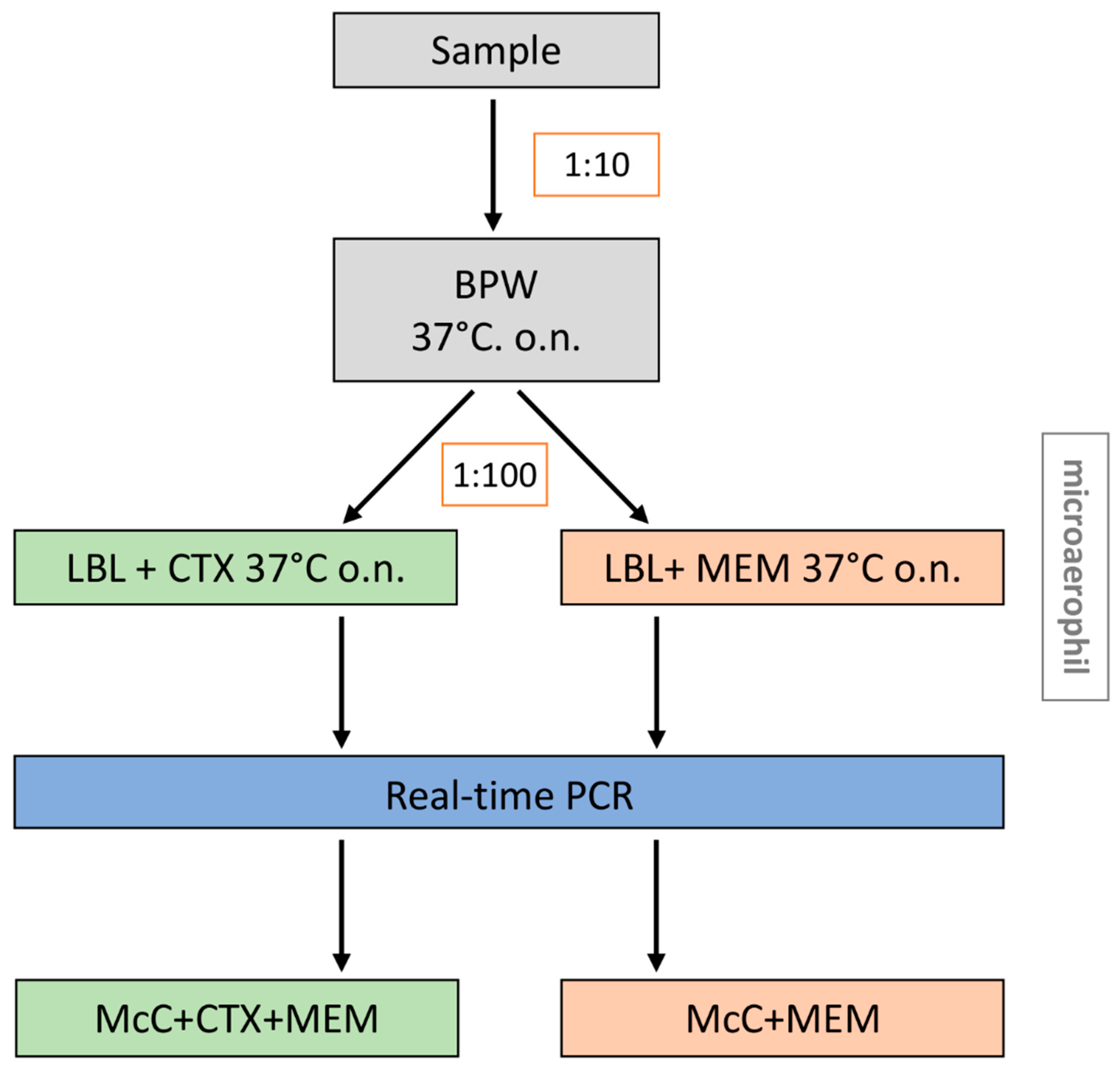 Microorganisms 09 01105 g004