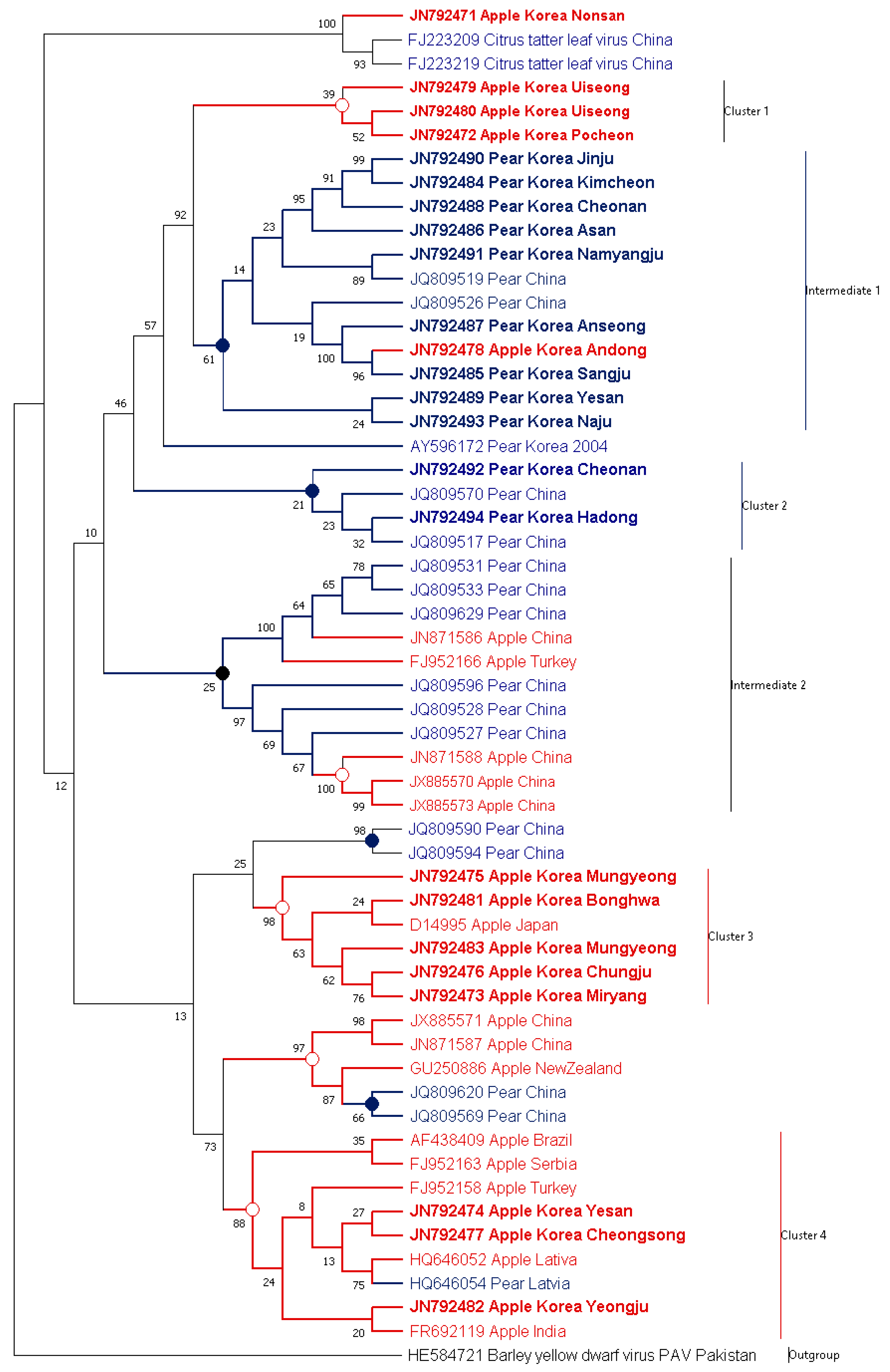 Microorganisms 09 01111 g004