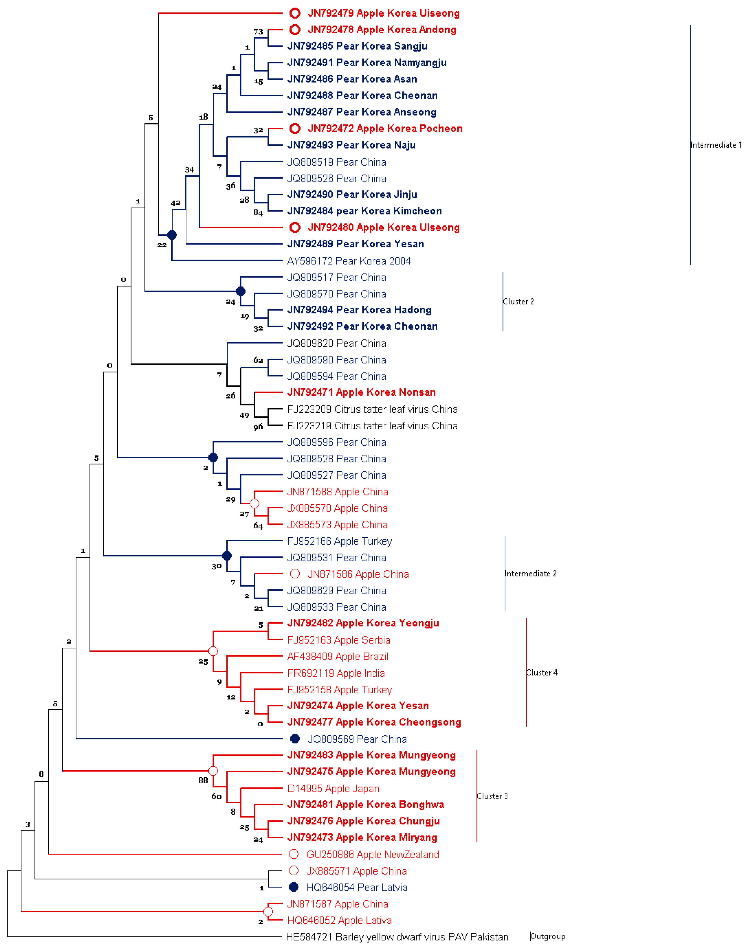 Microorganisms 09 01111 g005