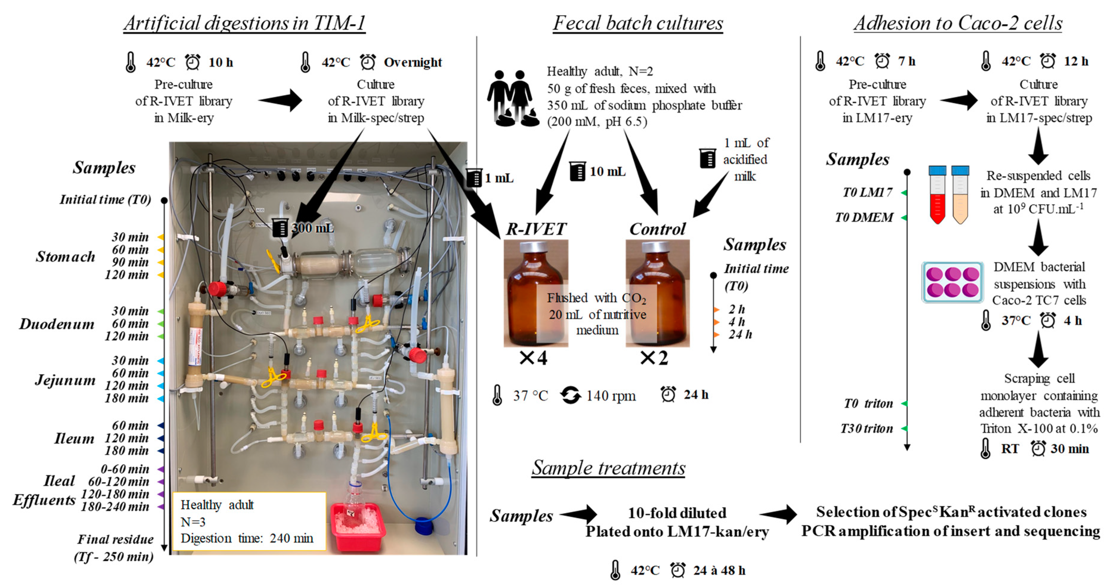 Microorganisms 09 01113 g002