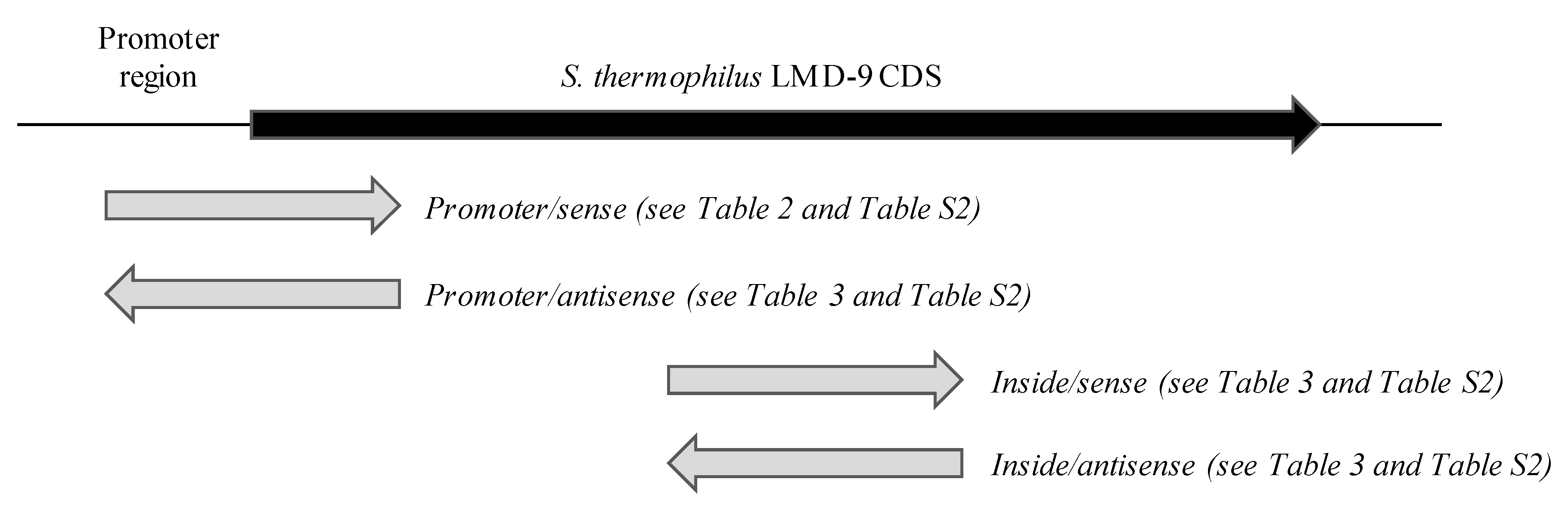 Microorganisms 09 01113 g005
