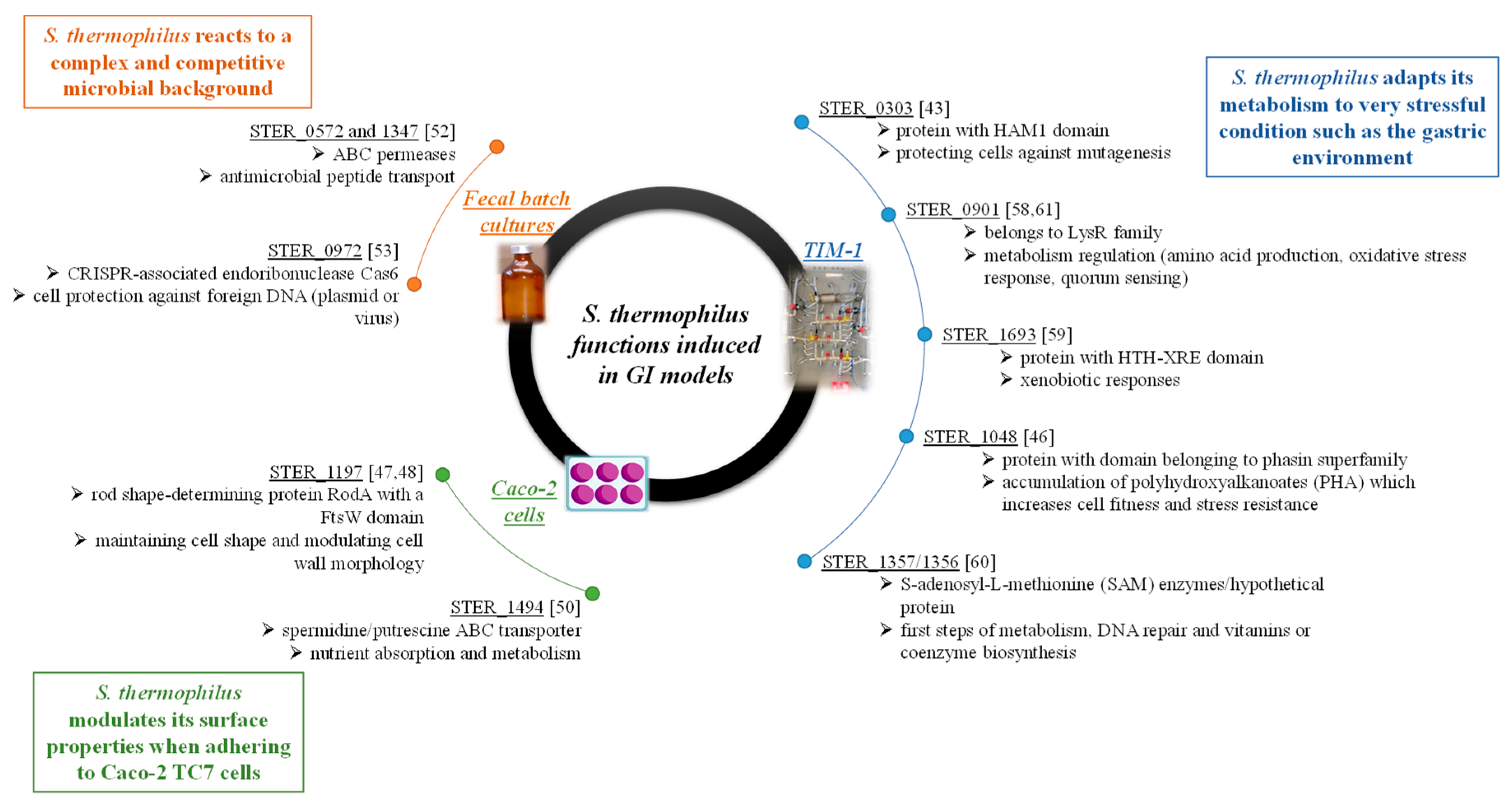 Microorganisms 09 01113 g007