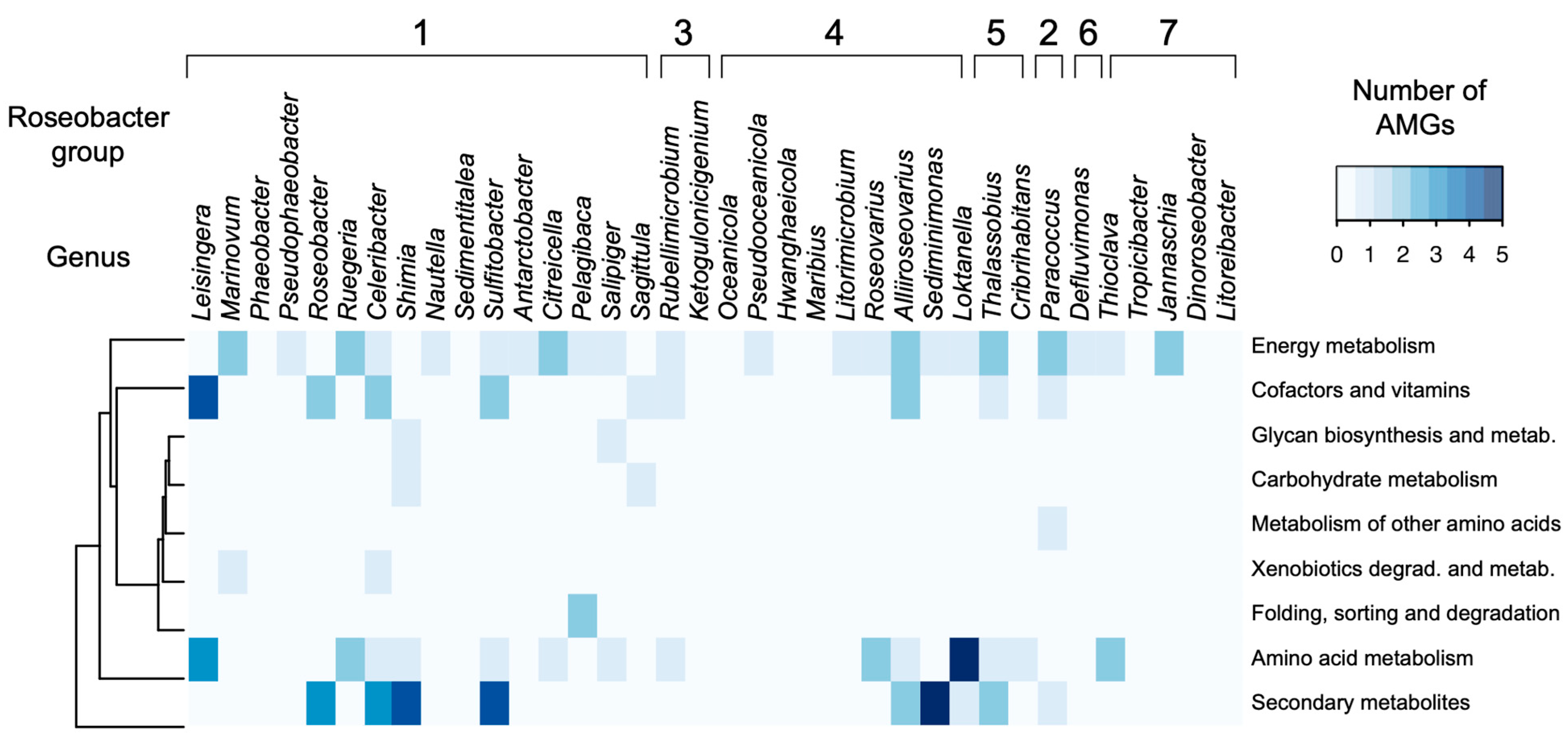 Microorganisms 09 01115 g003