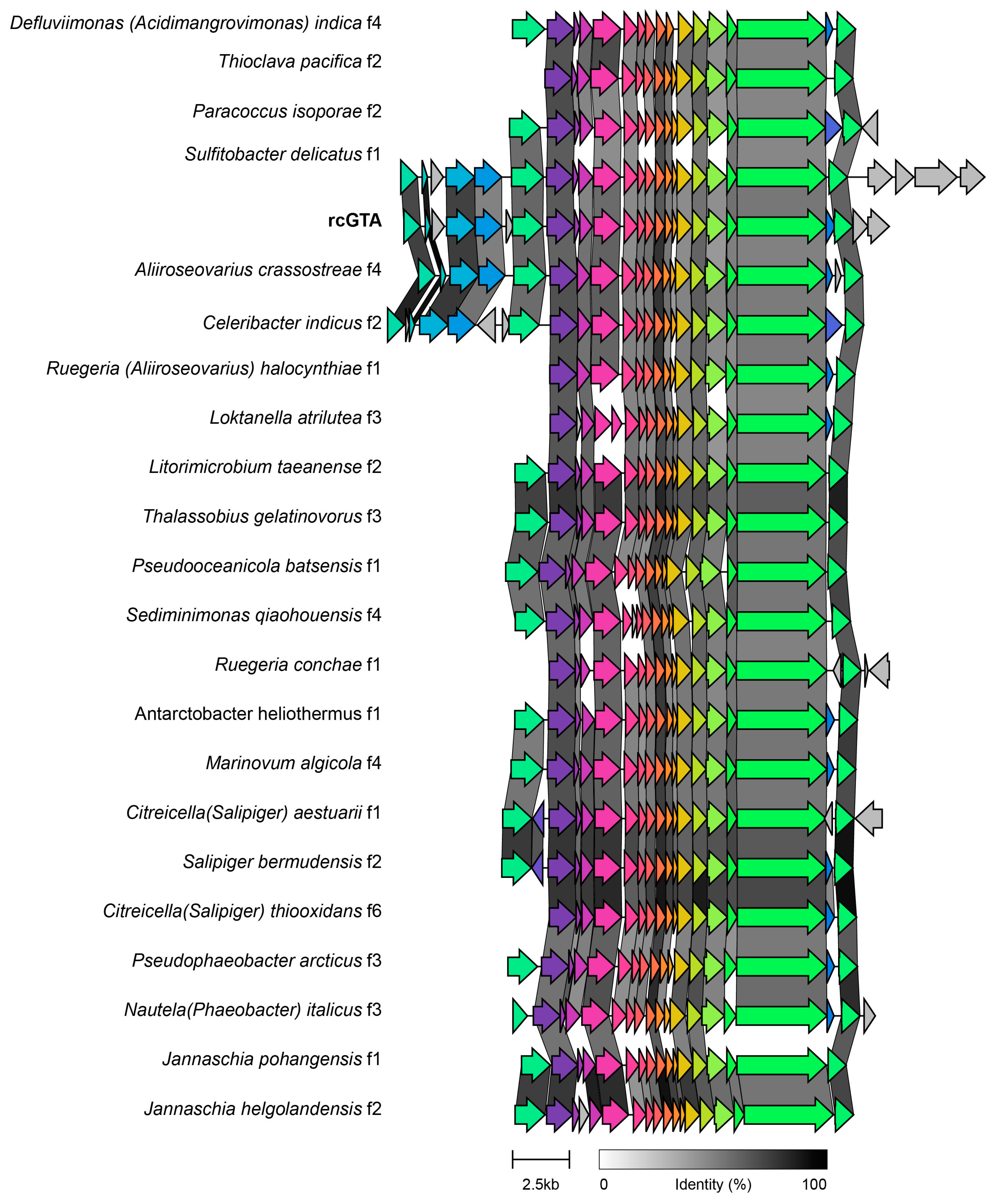 Microorganisms 09 01115 g004