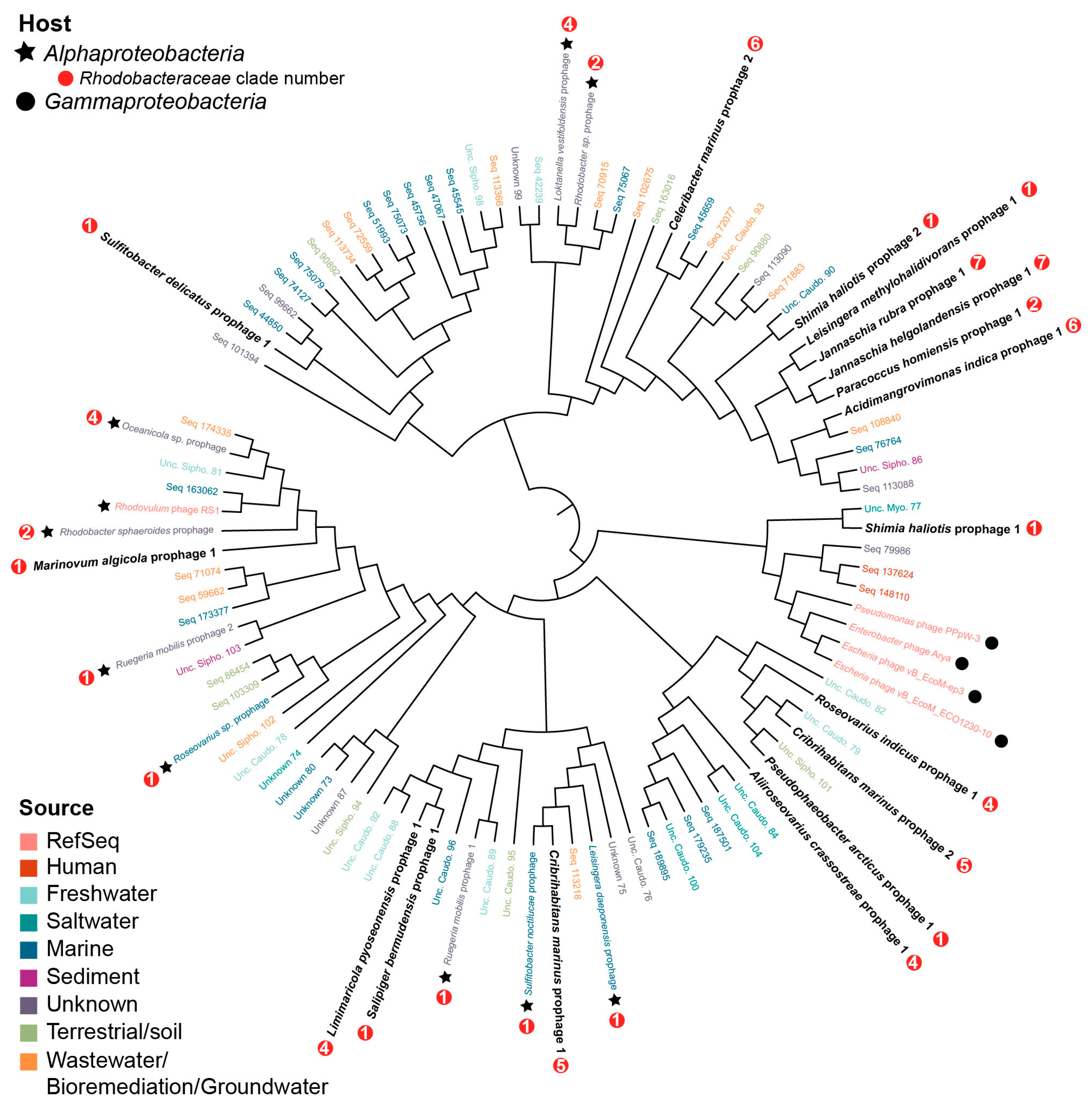 Microorganisms 09 01115 g005