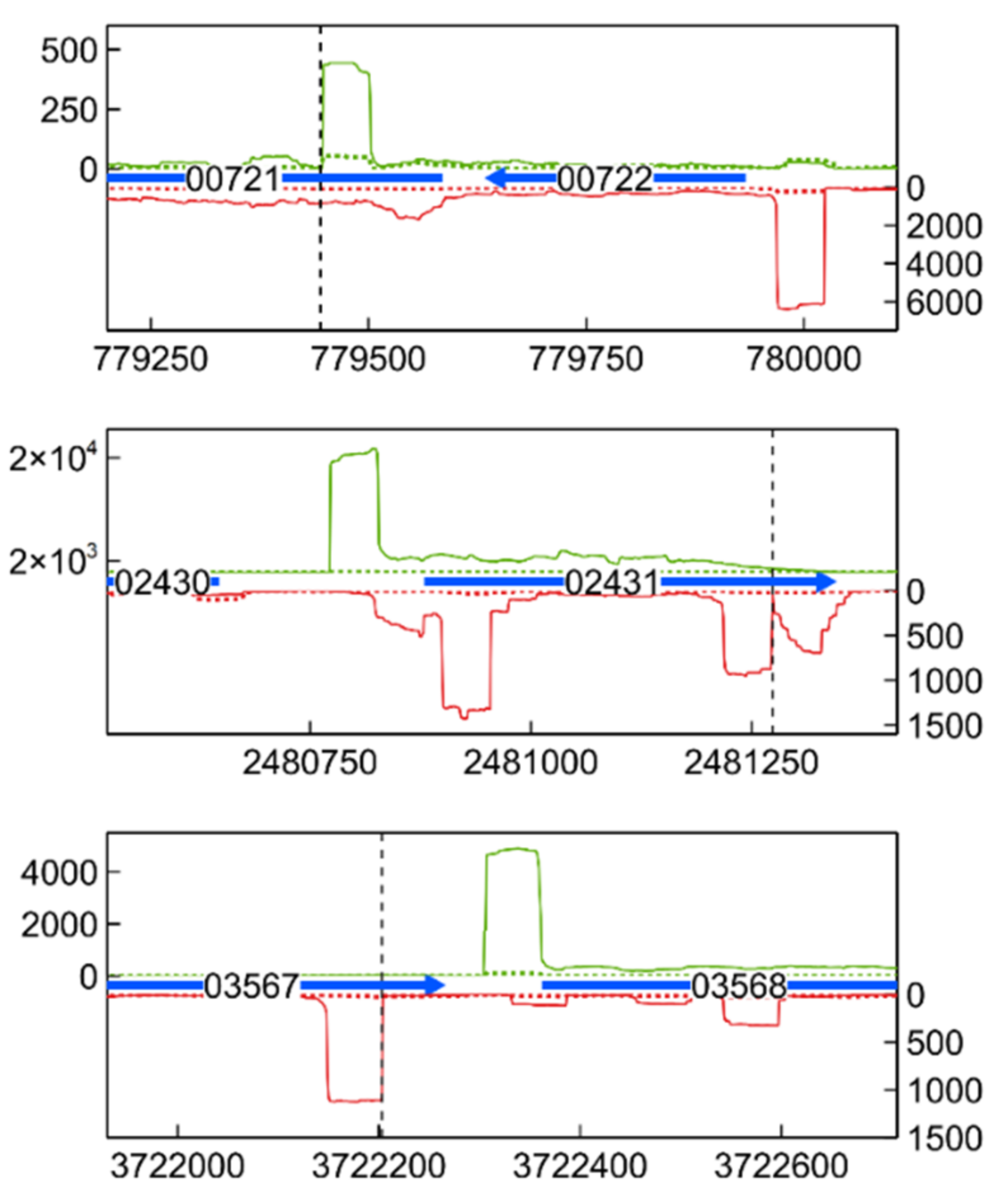 Microorganisms 09 01116 g009