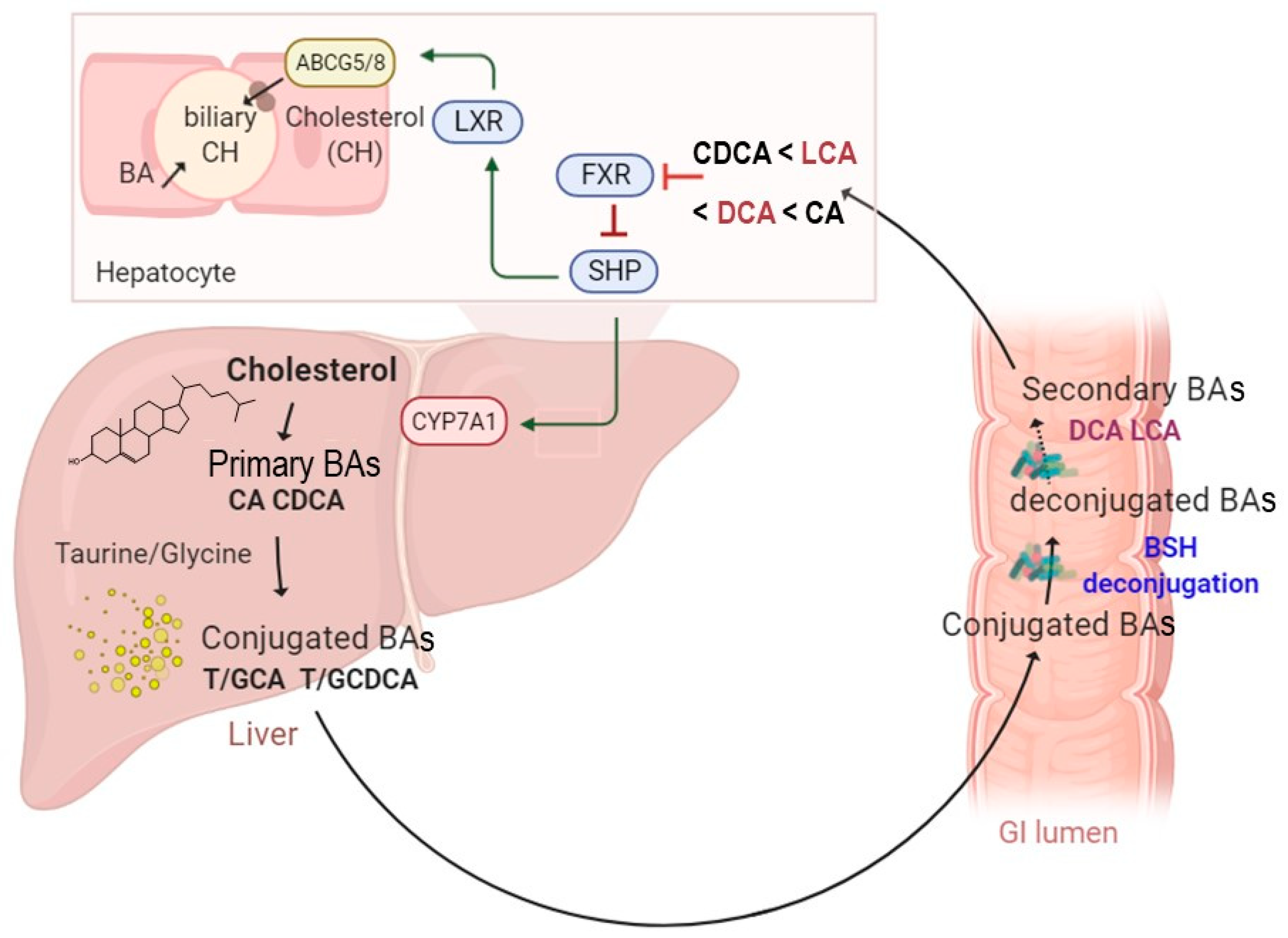 Microorganisms 09 01122 g001