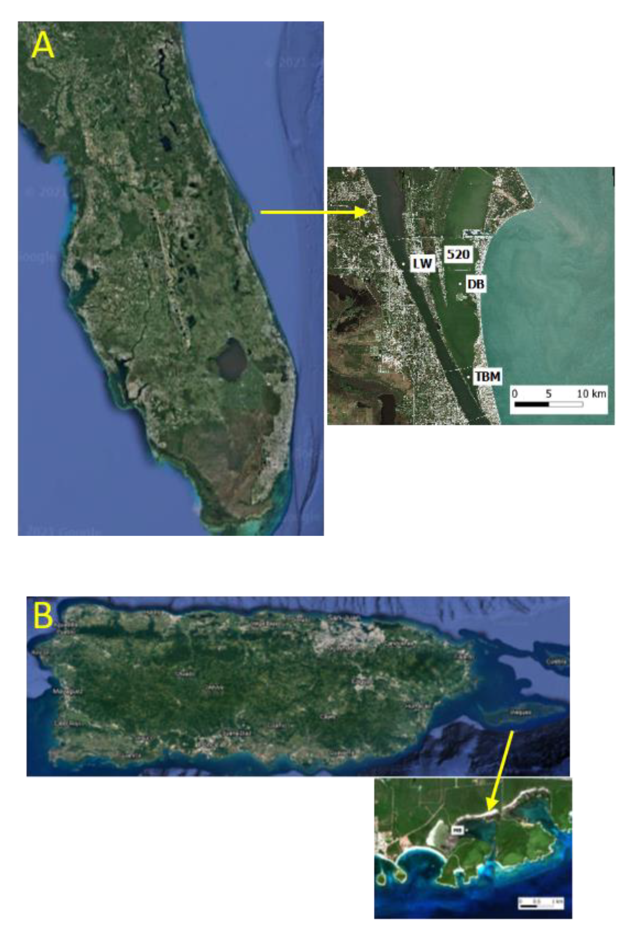Microorganisms 09 01128 g001 Microorganisms 09 01128 g001