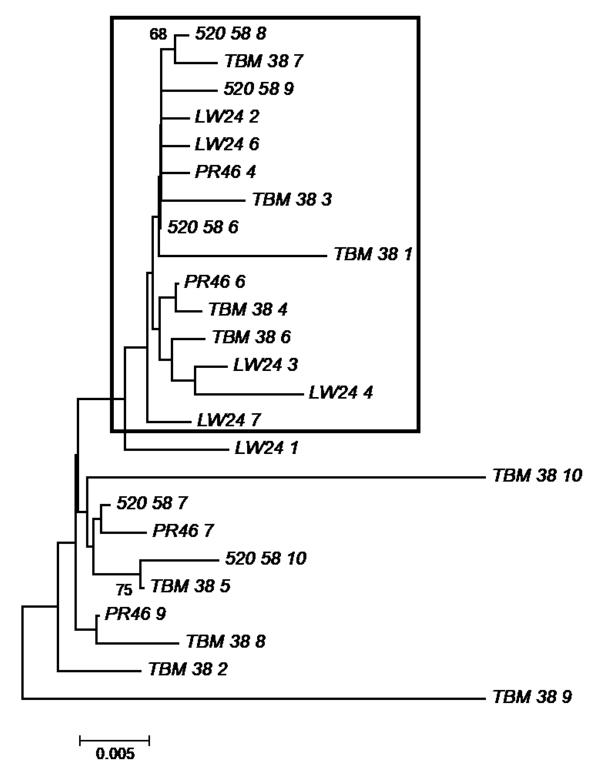 Microorganisms 09 01128 g005 Microorganisms 09 01128 g005