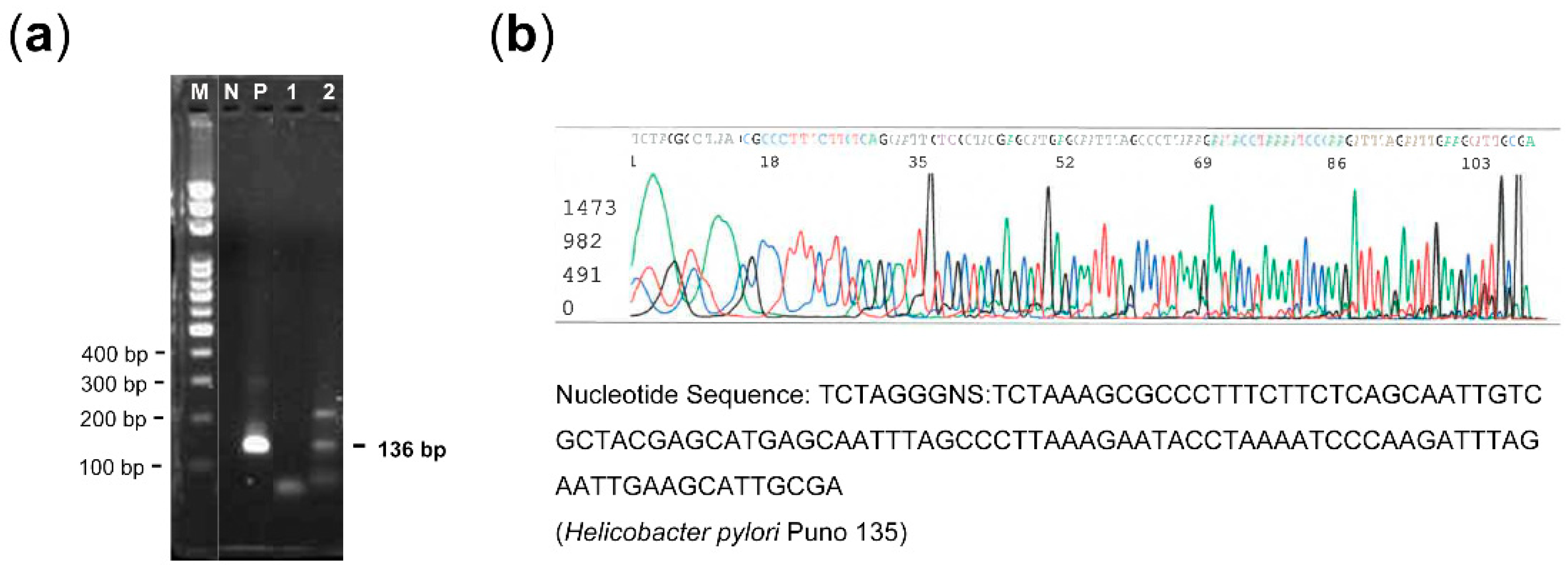 Microorganisms 09 01129 g002