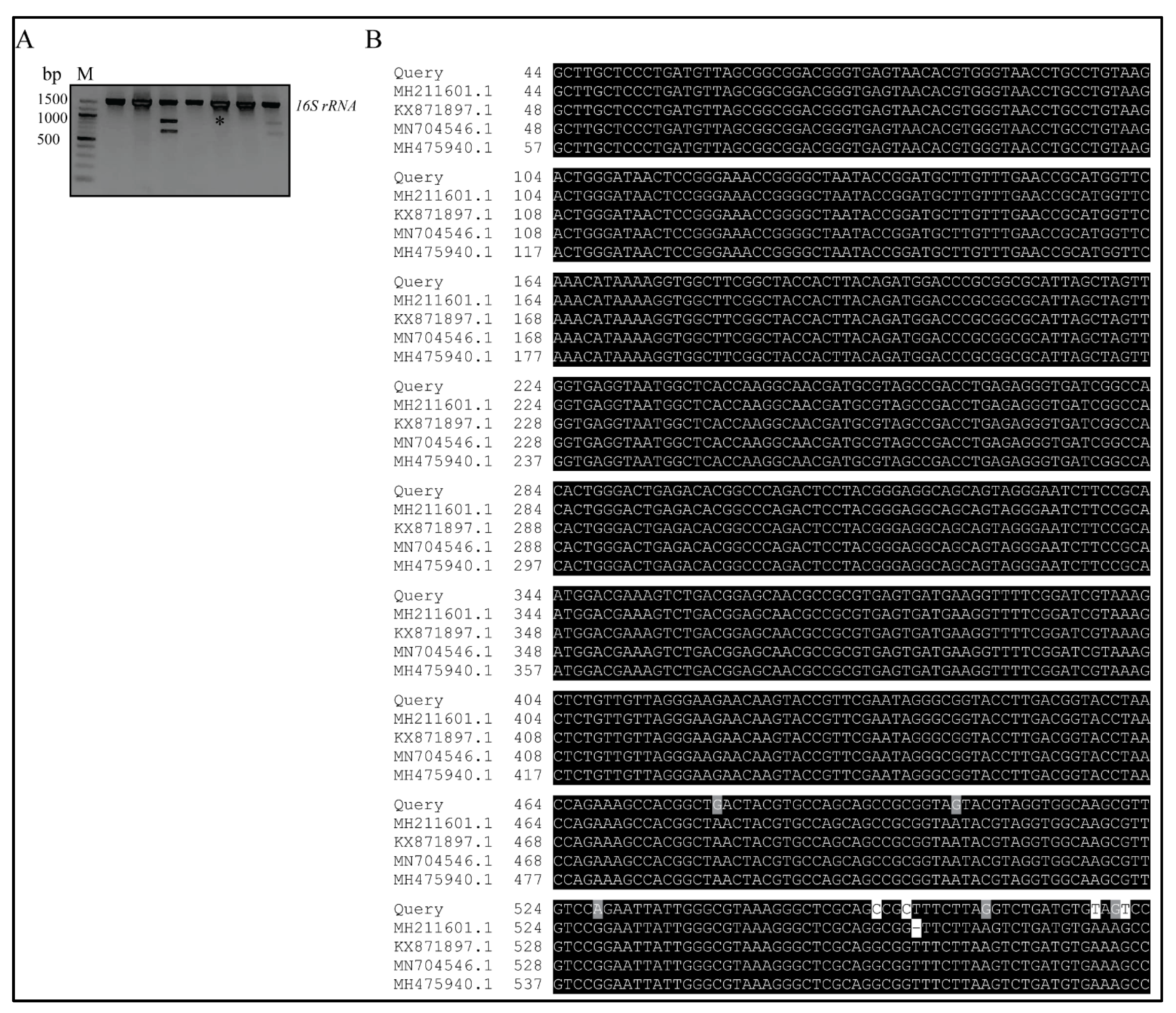 Microorganisms 09 01131 g002