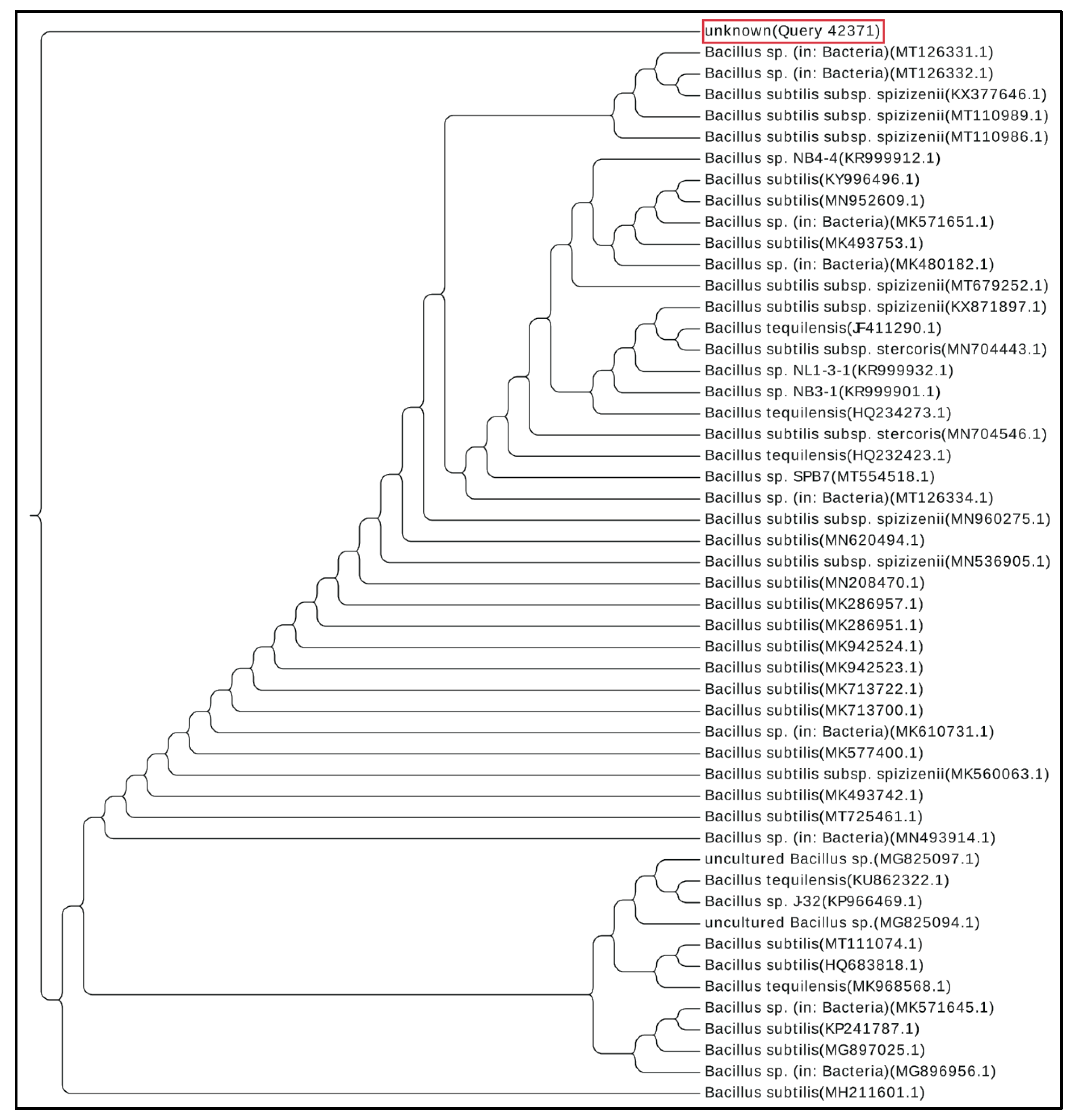Microorganisms 09 01131 g003