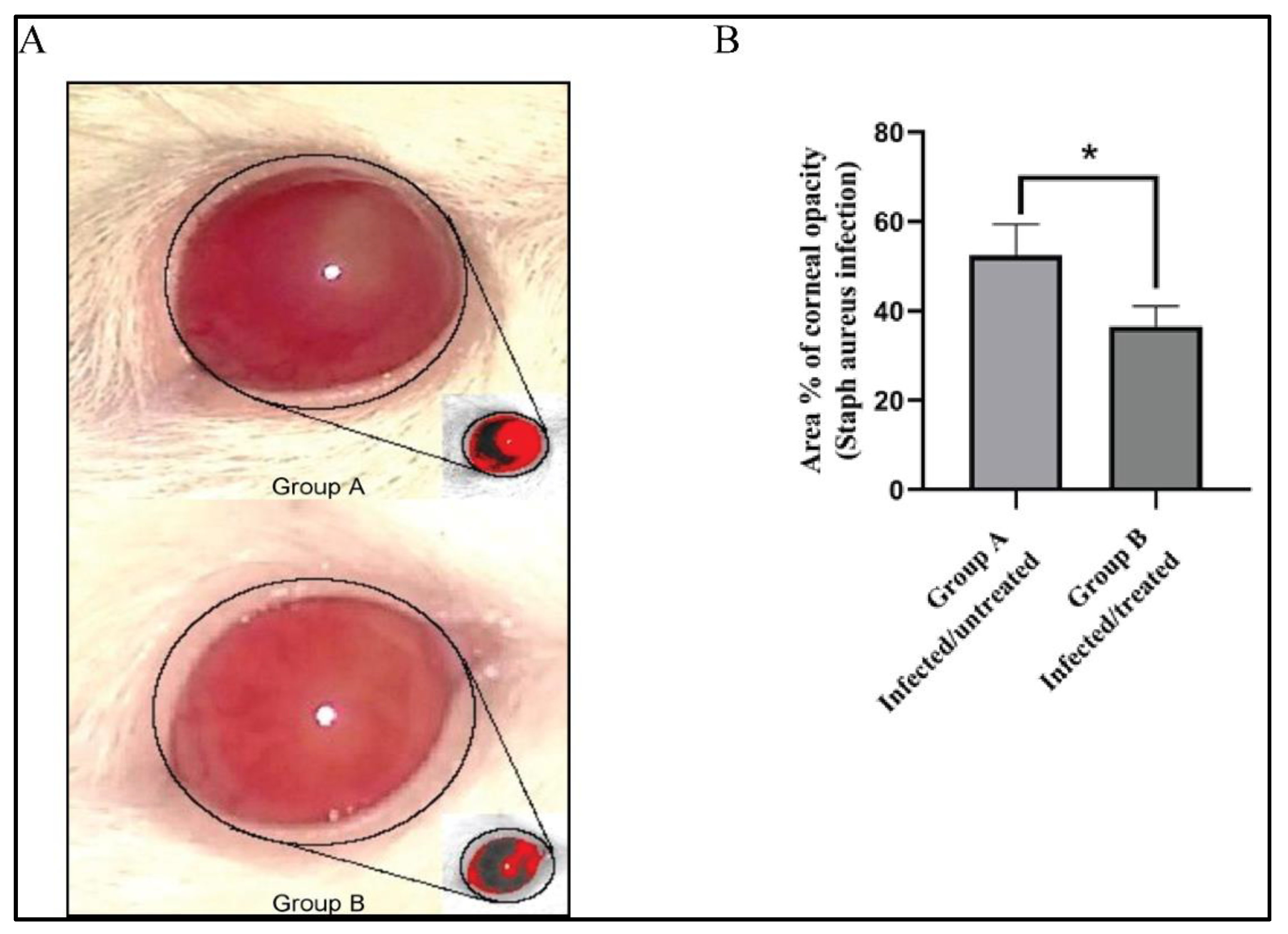Microorganisms 09 01131 g006
