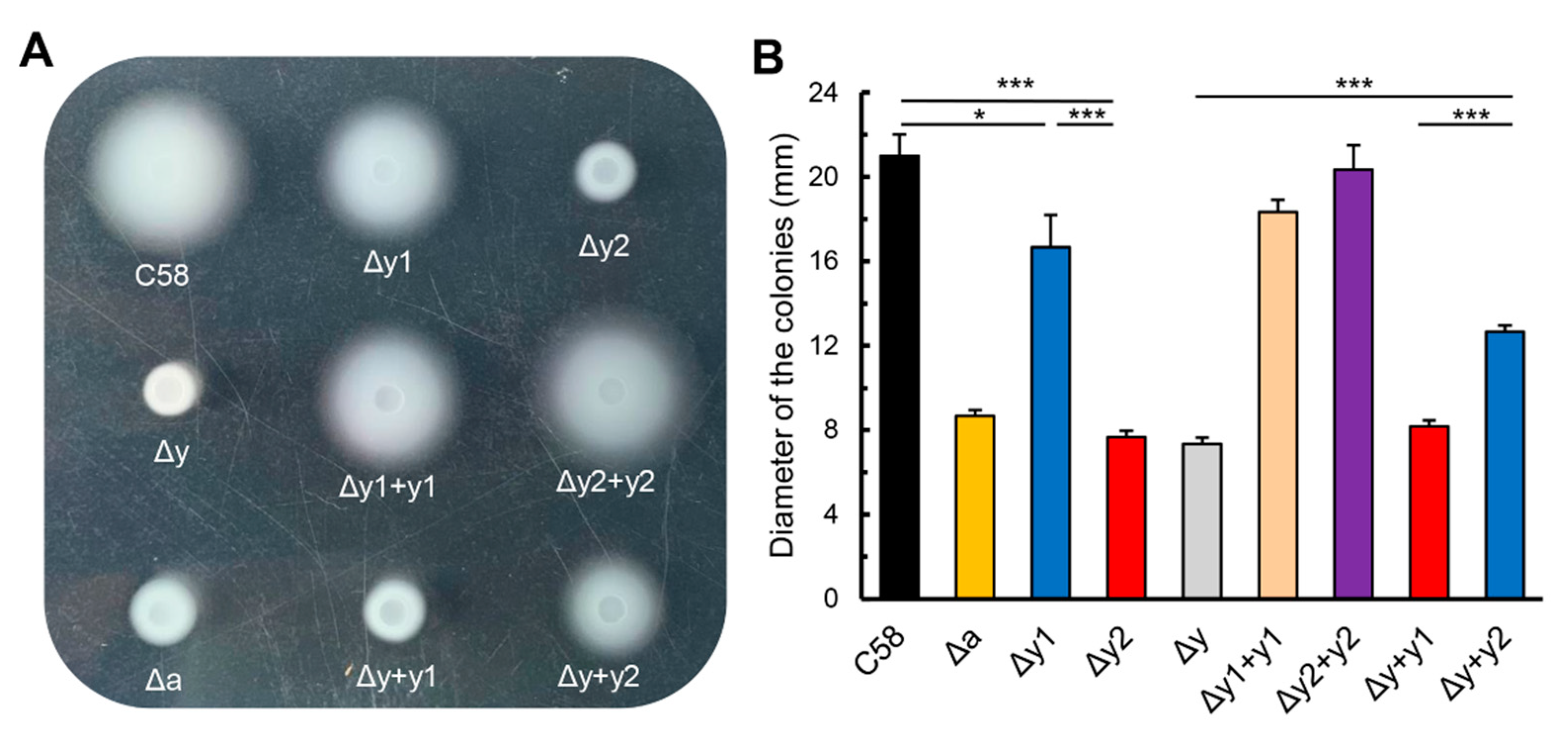 Microorganisms 09 01134 g001