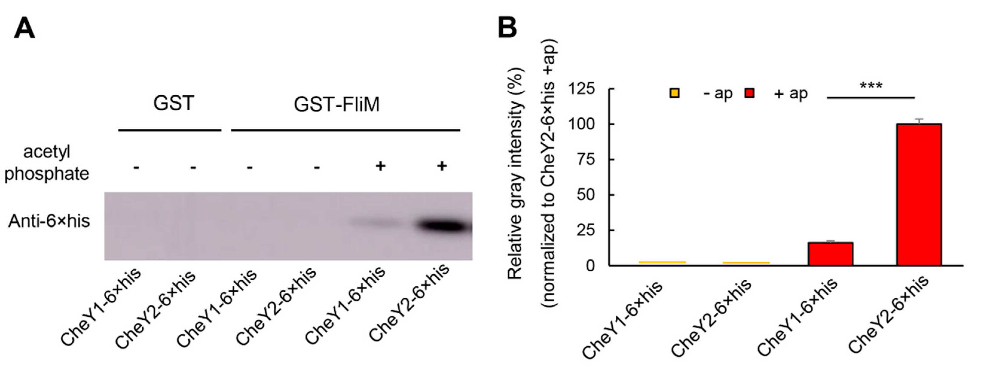 Microorganisms 09 01134 g004