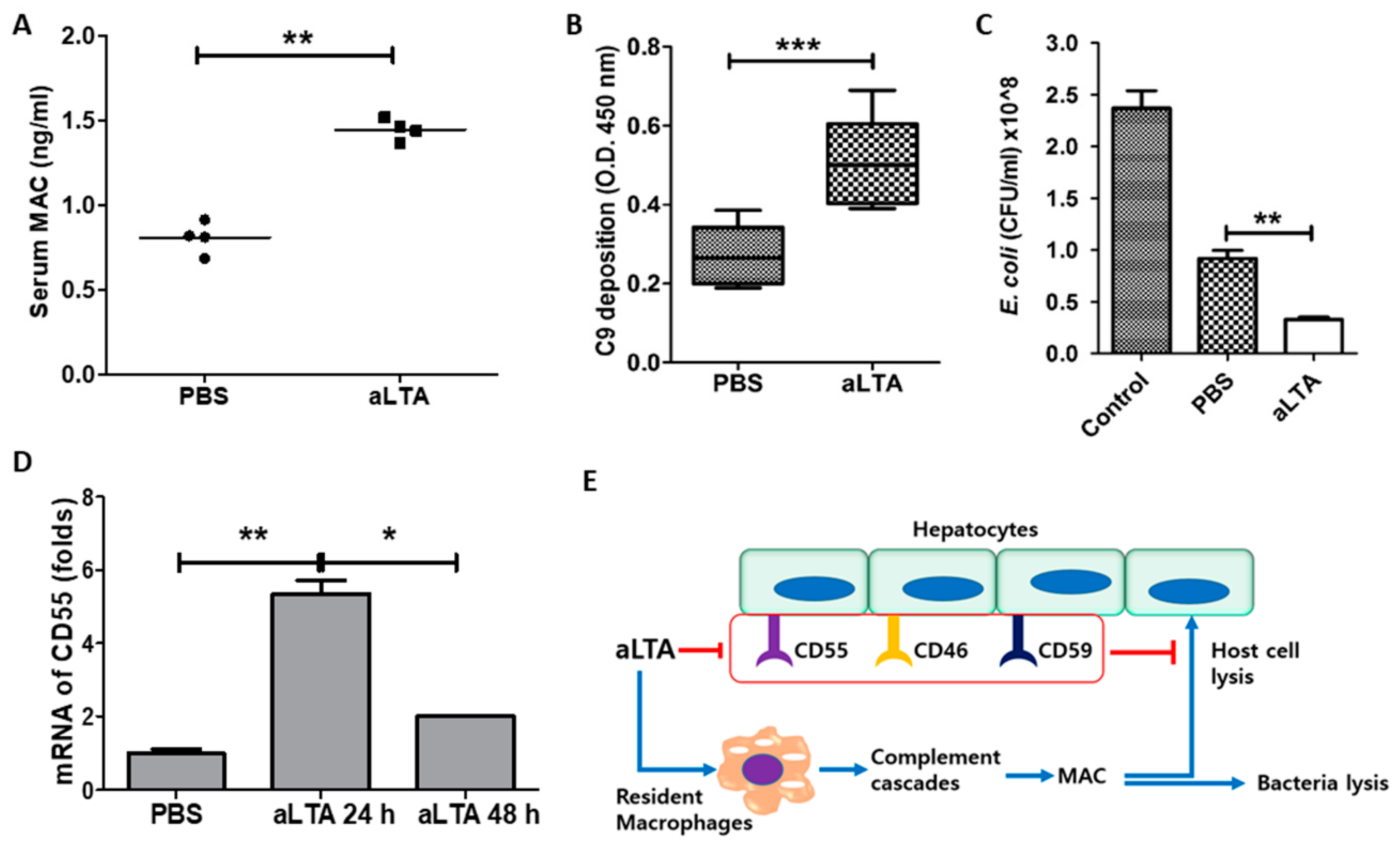 Microorganisms 09 01135 g007
