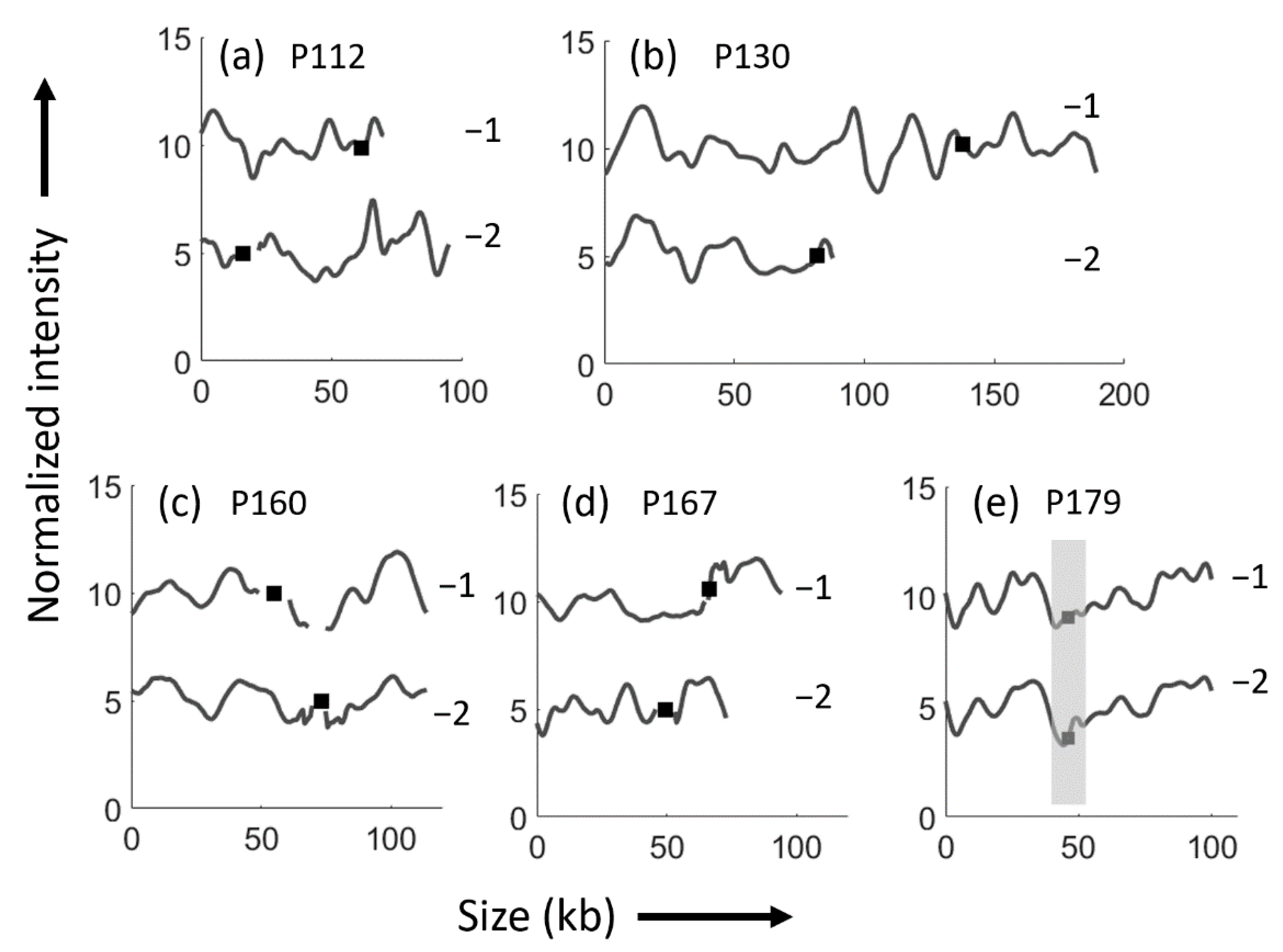 Microorganisms 09 01138 g001