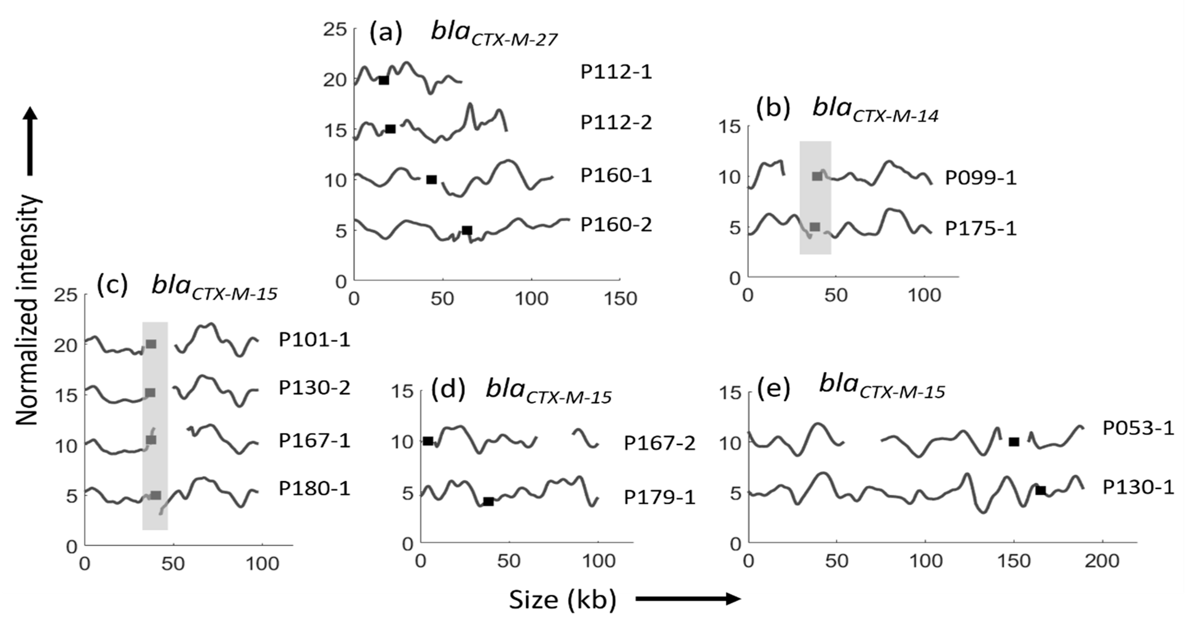 Microorganisms 09 01138 g003