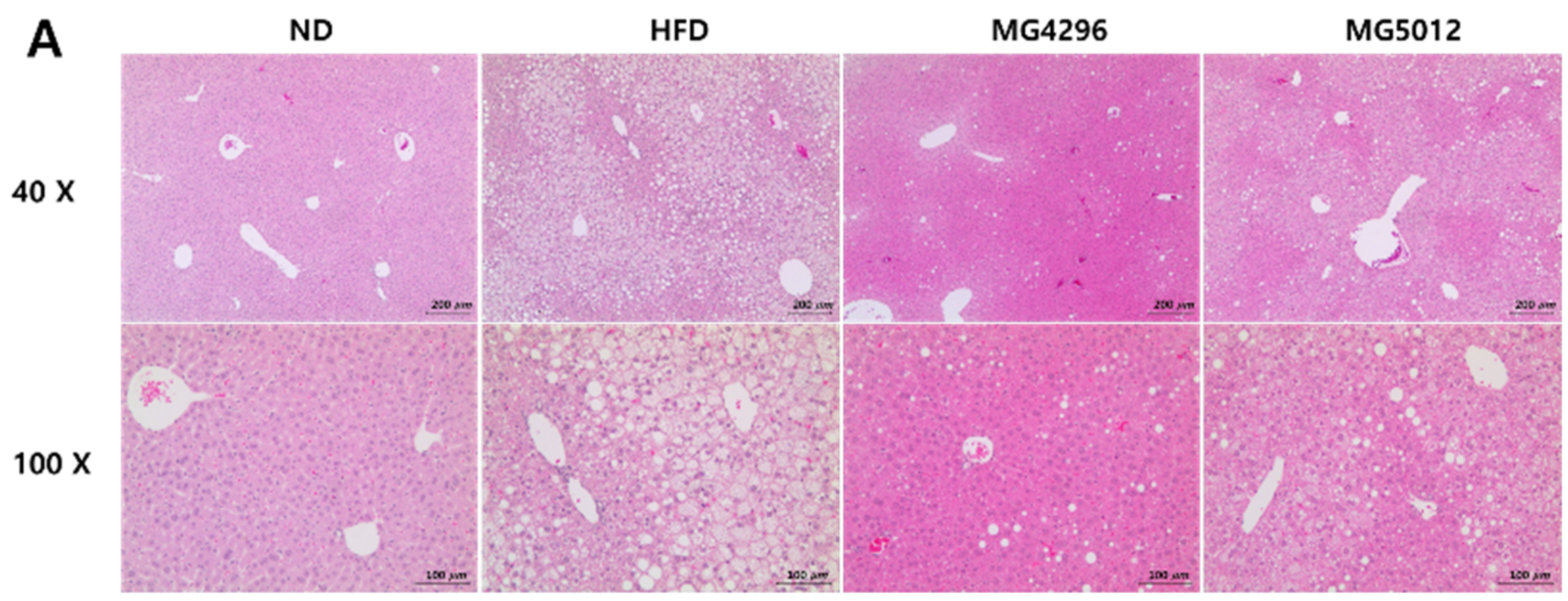 Microorganisms 09 01139 g005a