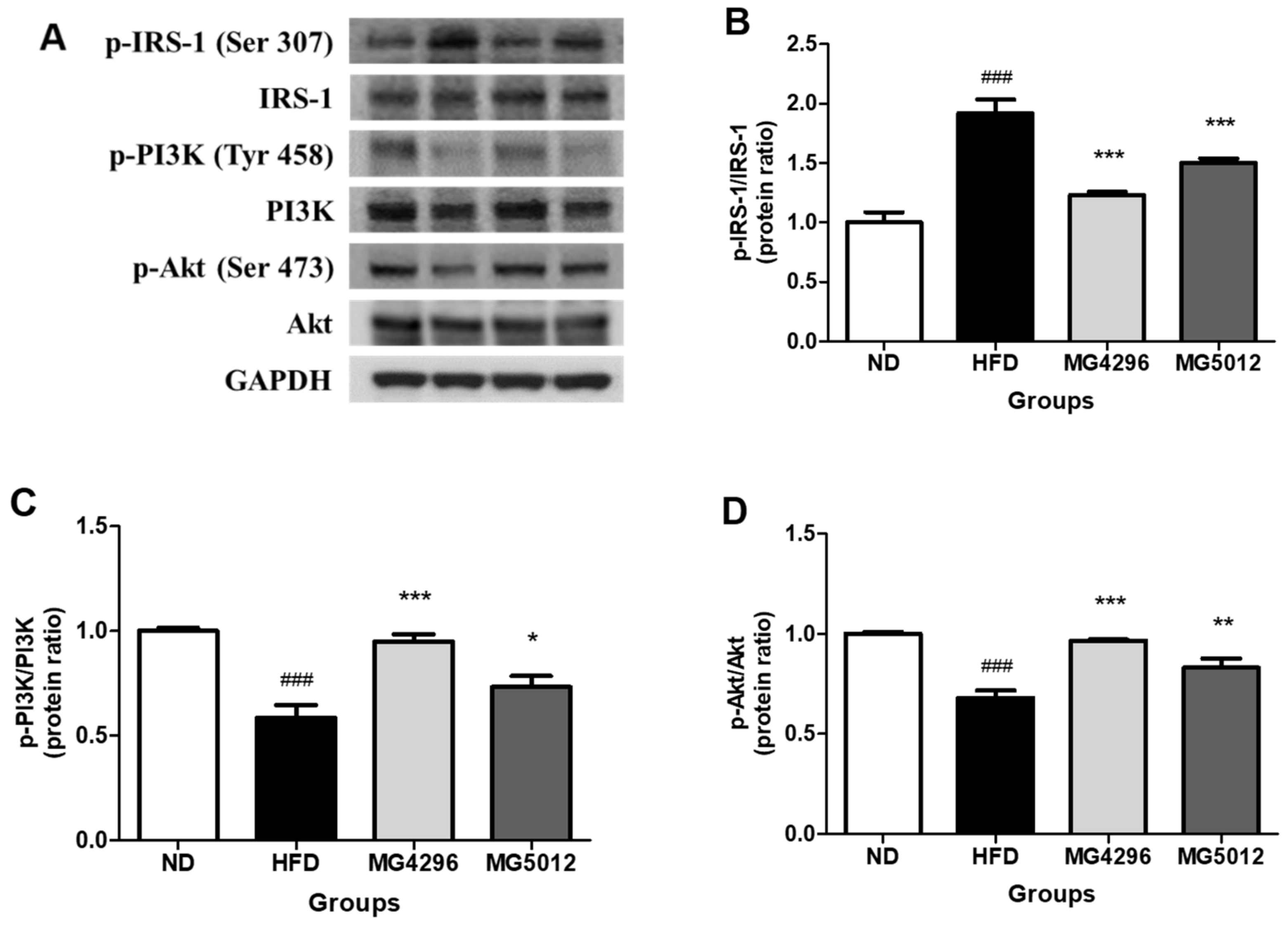 Microorganisms 09 01139 g006