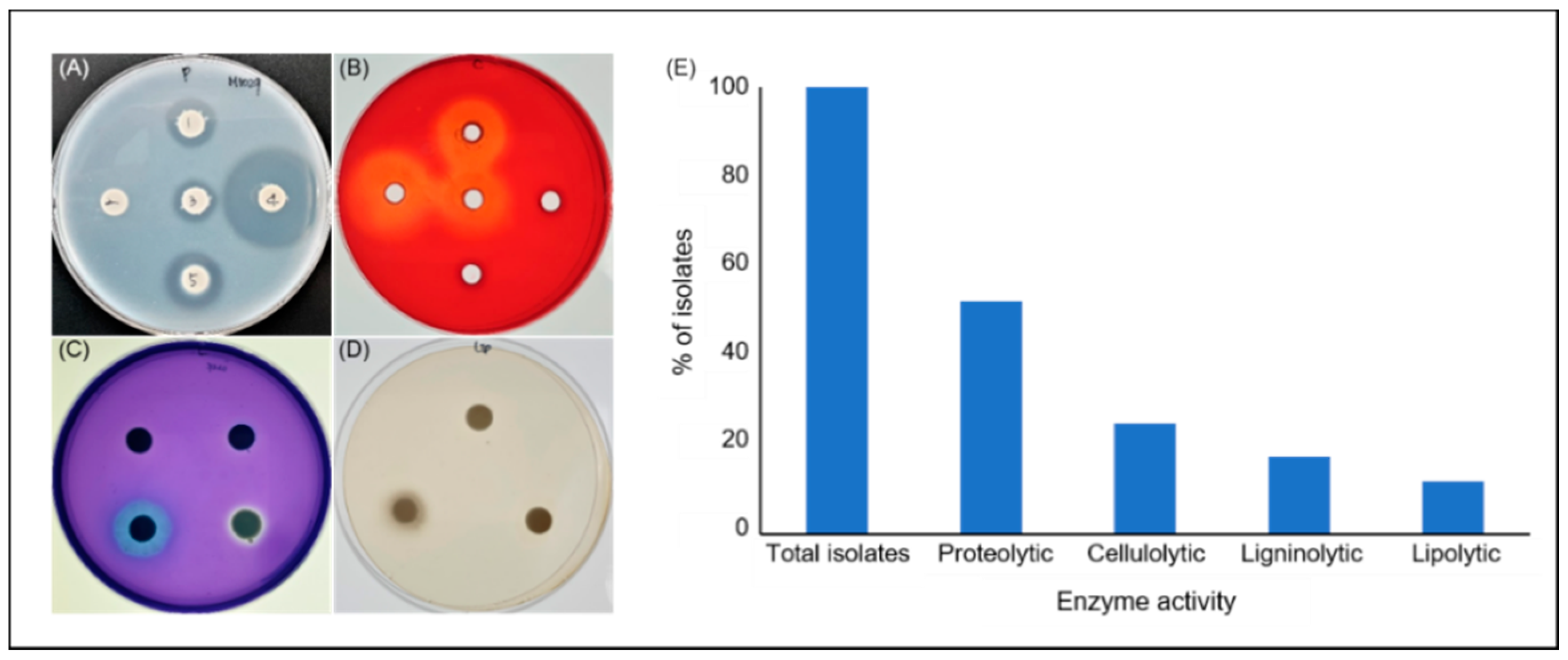 Microorganisms 09 01156 g002