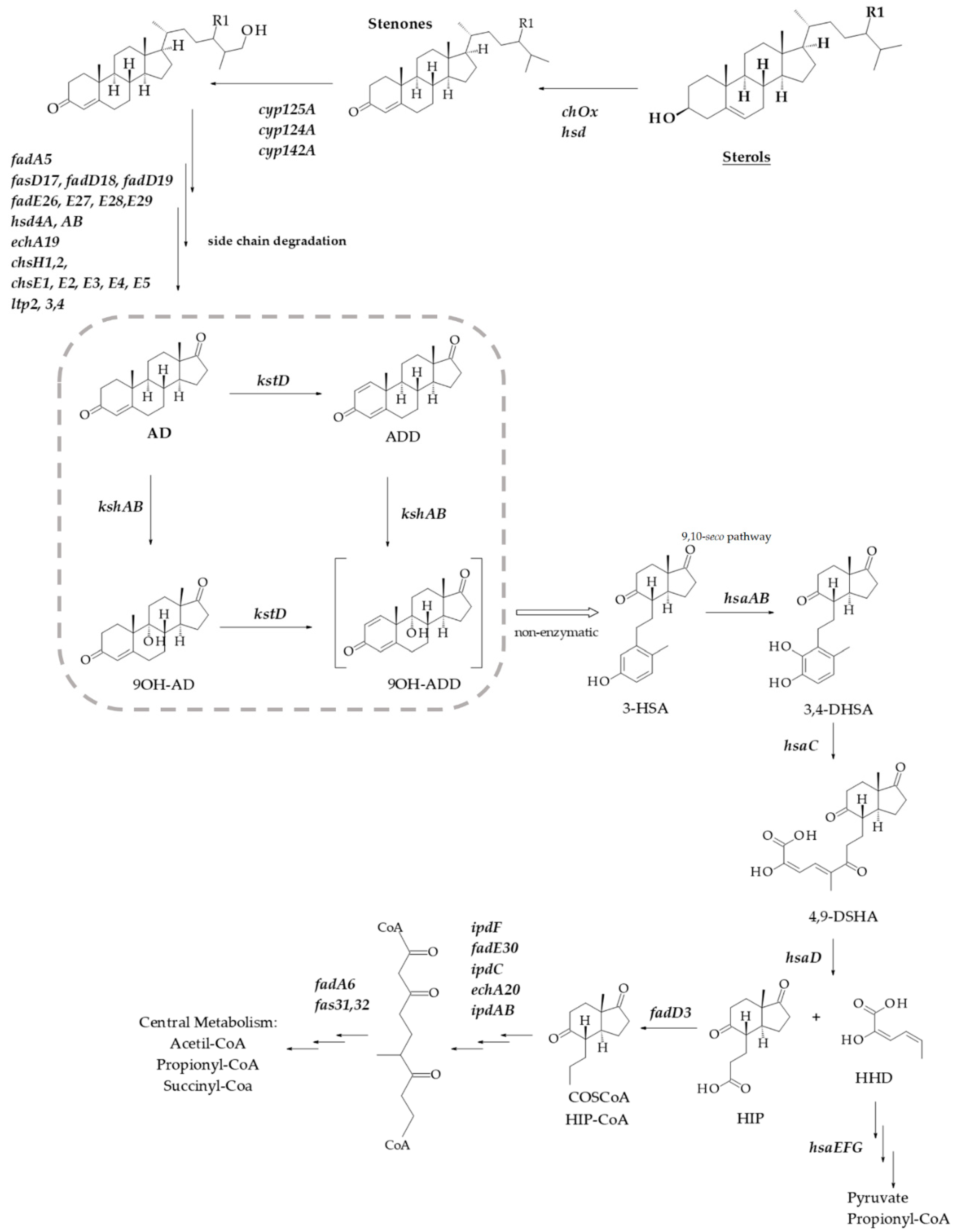 Microorganisms 09 01171 g001 Microorganisms 09 01171 g001