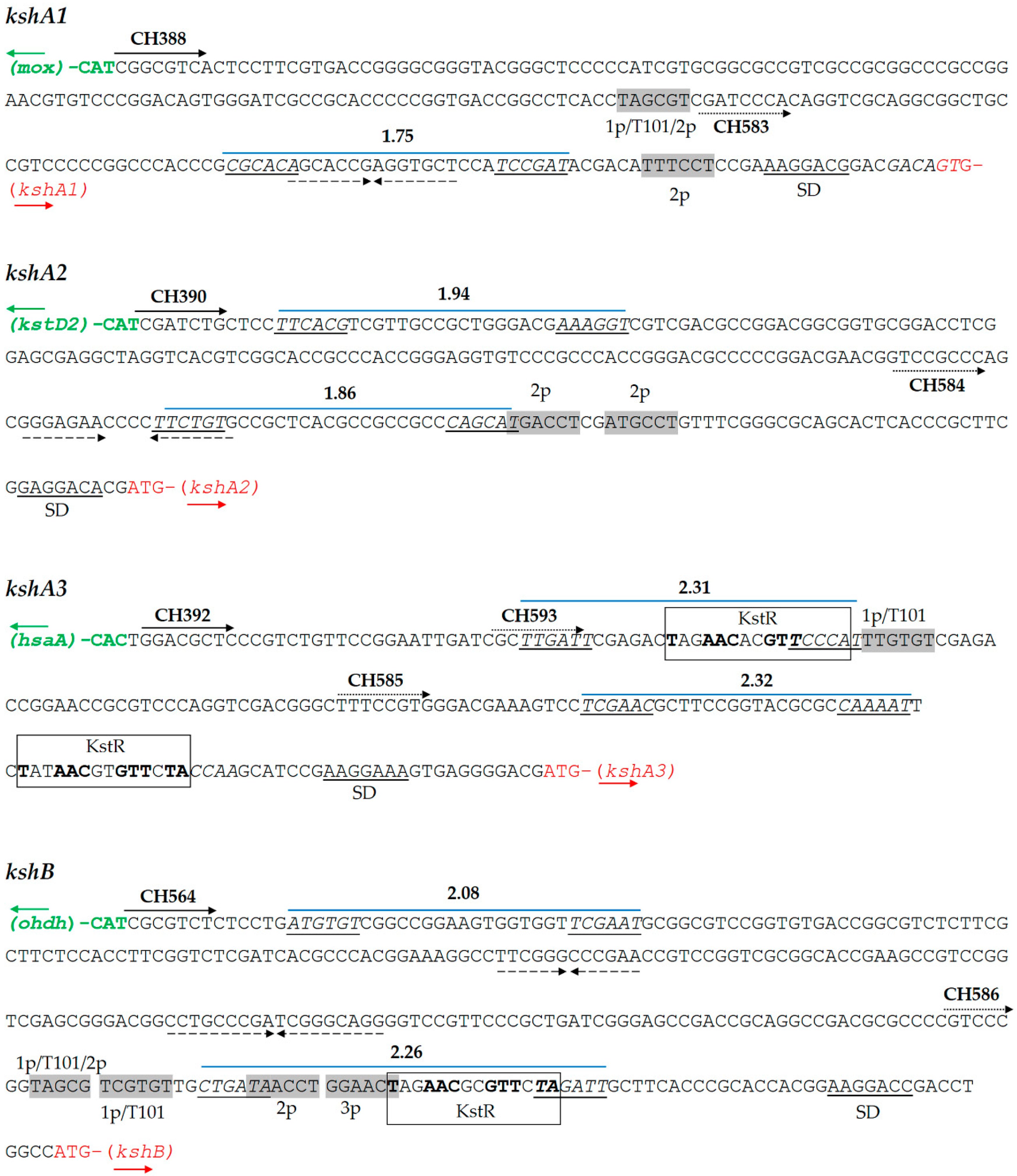 Microorganisms 09 01171 g002 Microorganisms 09 01171 g002