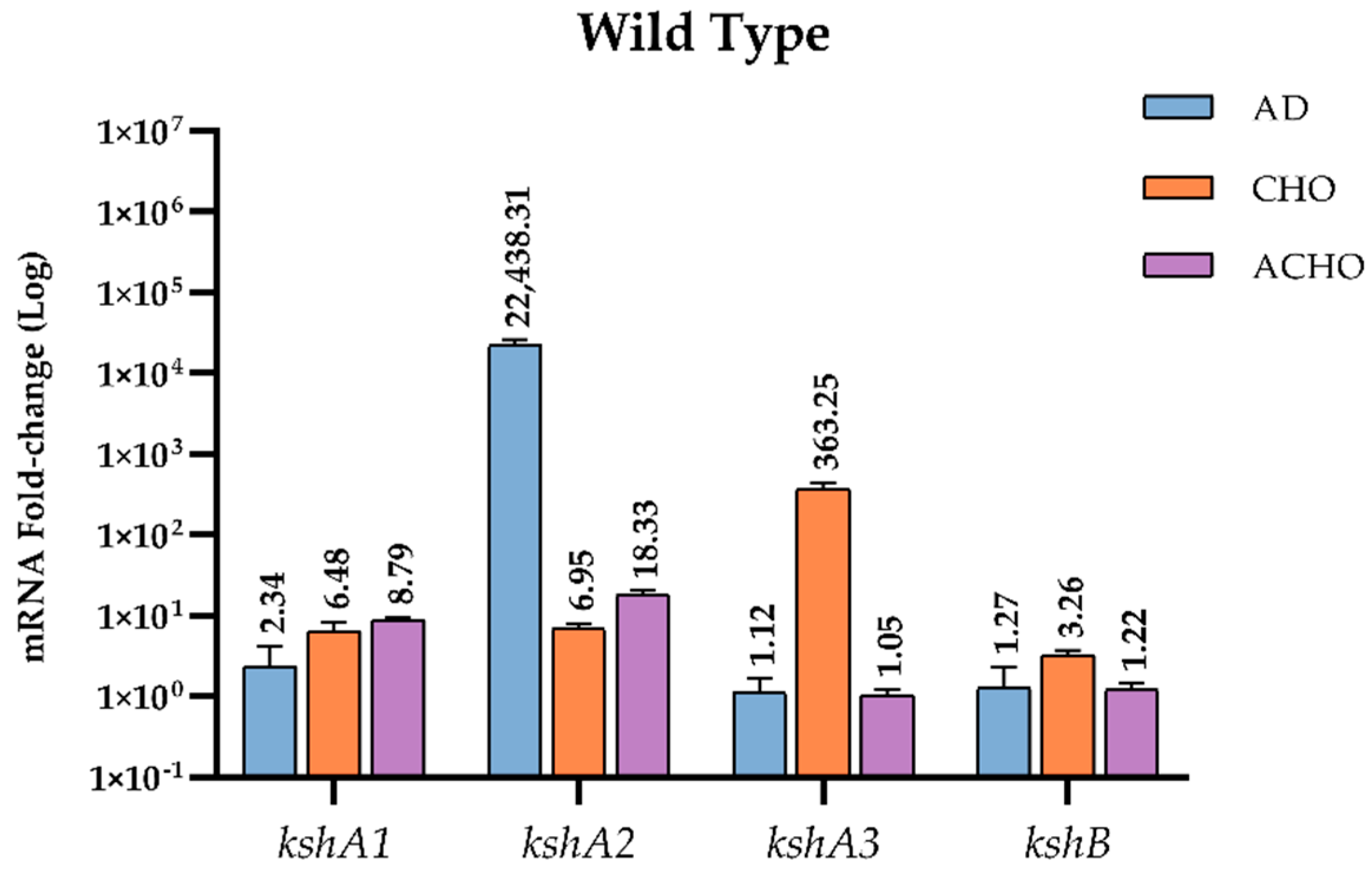 Microorganisms 09 01171 g004 Microorganisms 09 01171 g004