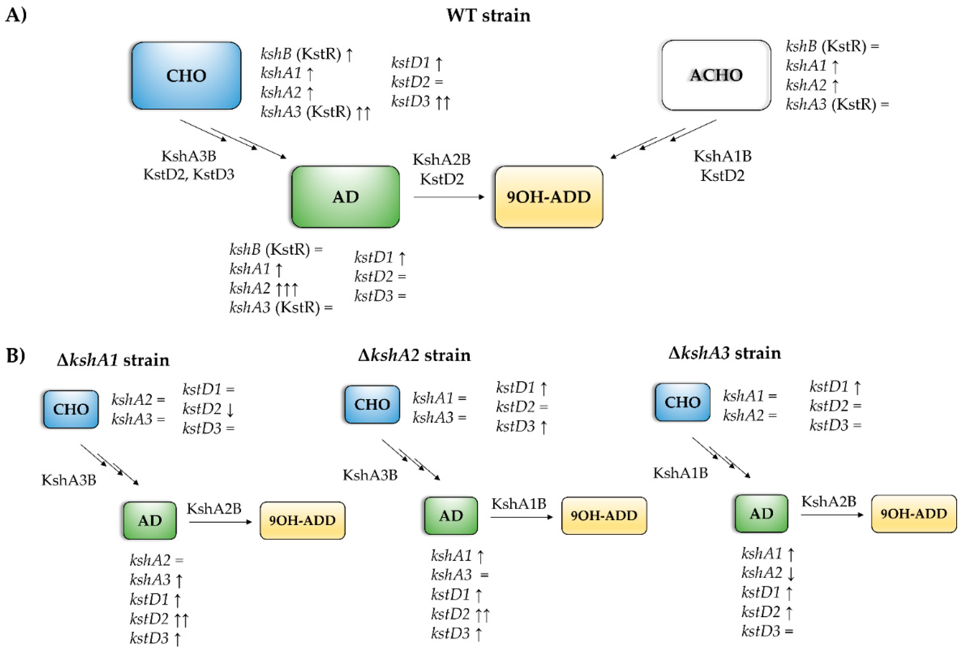 Microorganisms 09 01171 g006 Microorganisms 09 01171 g006