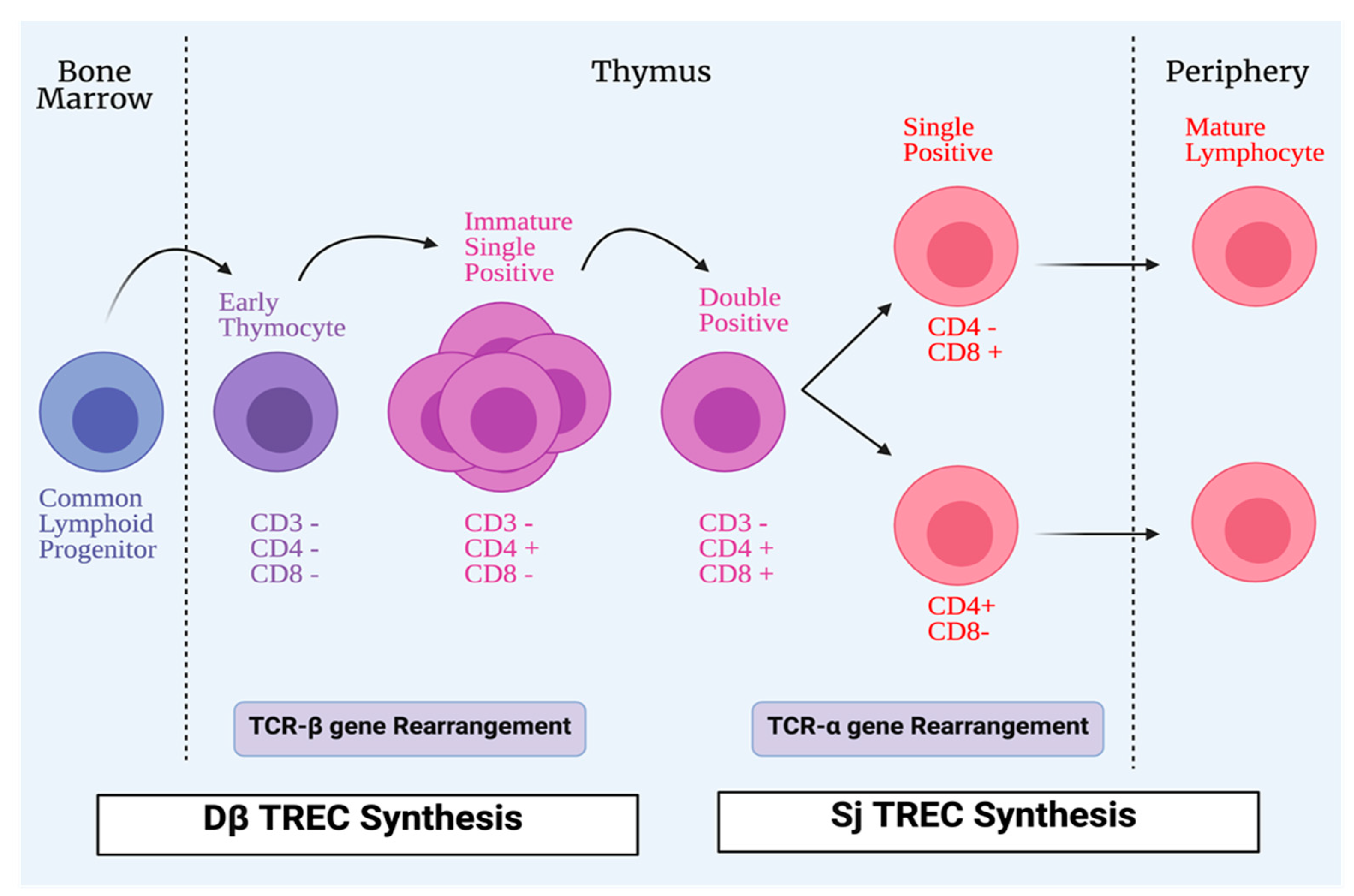 Microorganisms 09 01177 g002 Microorganisms 09 01177 g002